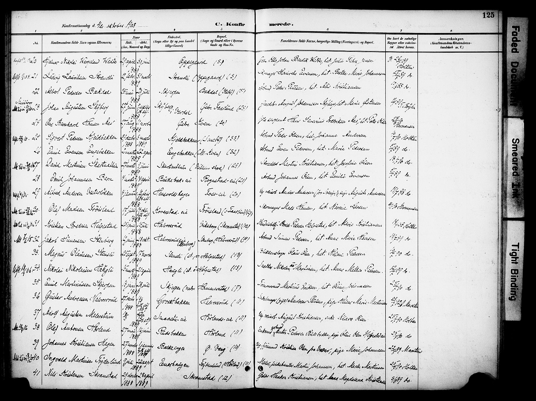 Østre Toten prestekontor, AV/SAH-PREST-104/H/Ha/Haa/L0009: Parish register (official) no. 9, 1897-1913, p. 125