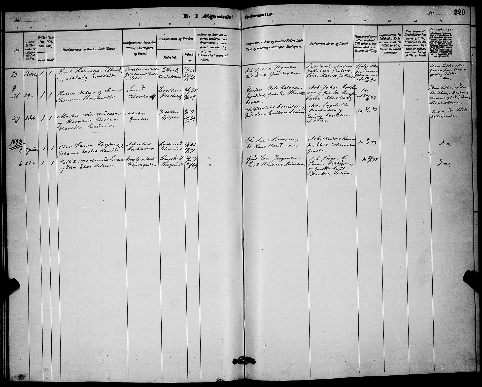 Solum kirkebøker, SAKO/A-306/G/Ga/L0007: Parish register (copy) no. I 7, 1884-1898, p. 229