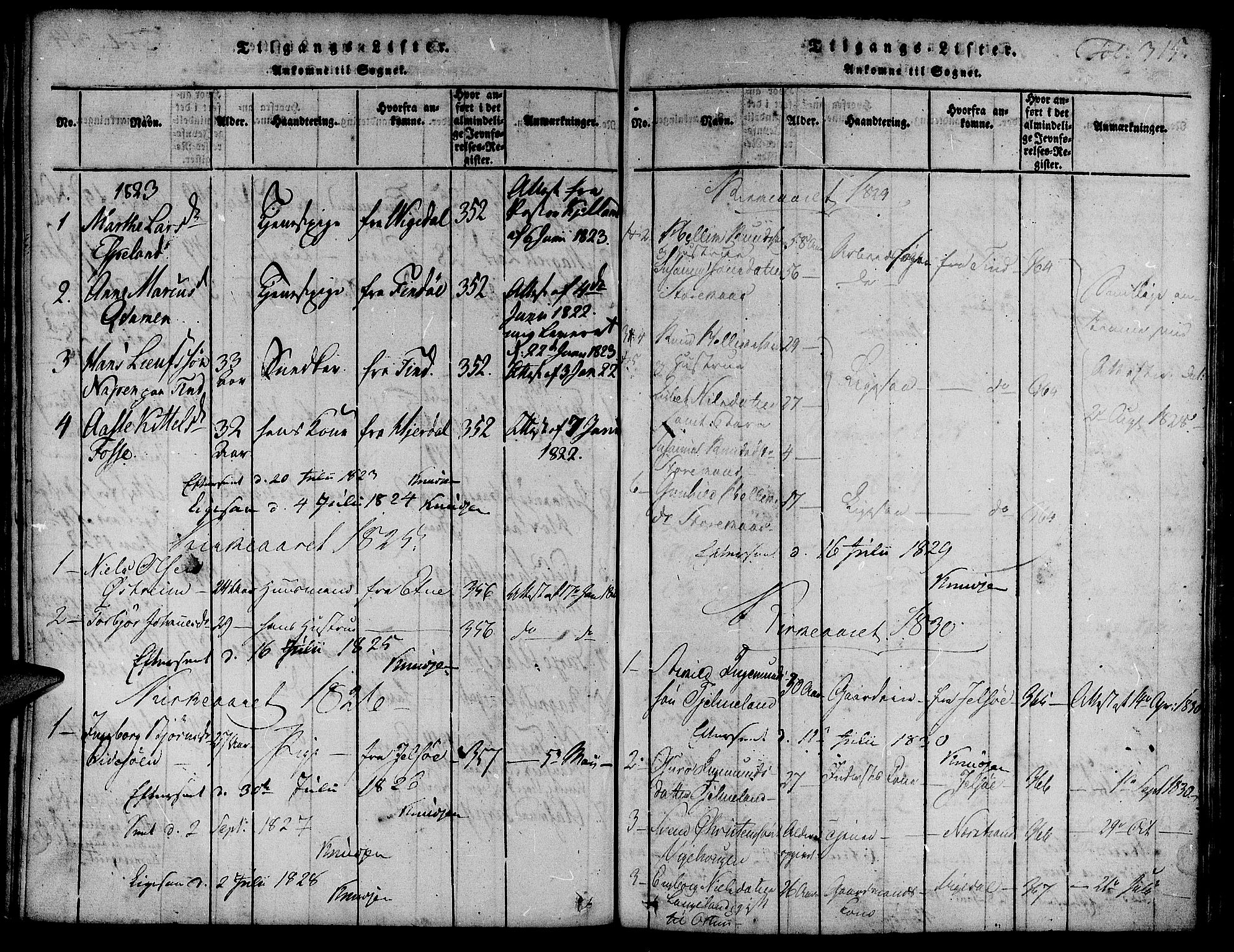 Suldal sokneprestkontor, AV/SAST-A-101845/01/IV/L0007: Parish register (official) no. A 7, 1817-1838, p. 315