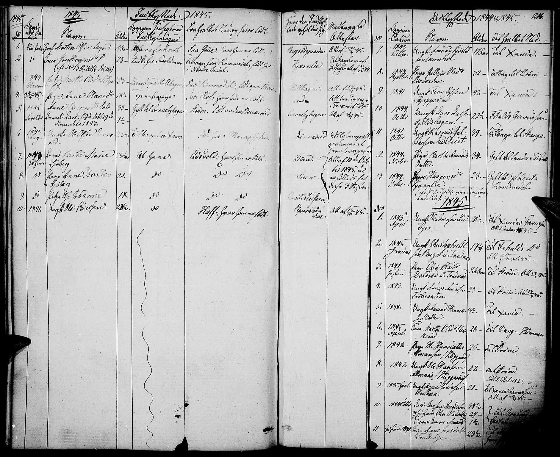 Nord-Odal prestekontor, AV/SAH-PREST-032/H/Ha/Haa/L0002: Parish register (official) no. 2, 1839-1850, p. 216