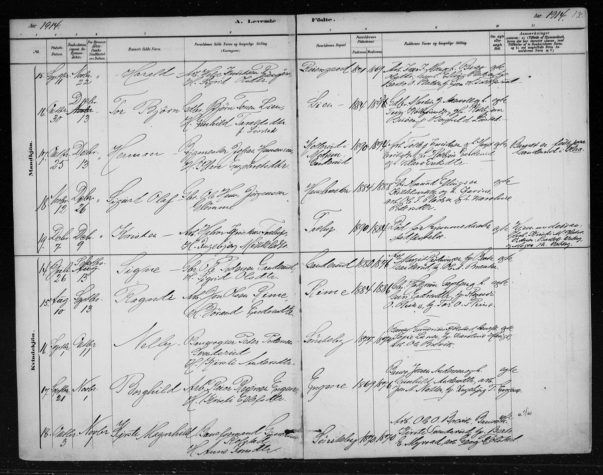 Nes kirkebøker, AV/SAKO-A-236/F/Fa/L0012: Parish register (official) no. 12, 1881-1917, p. 136
