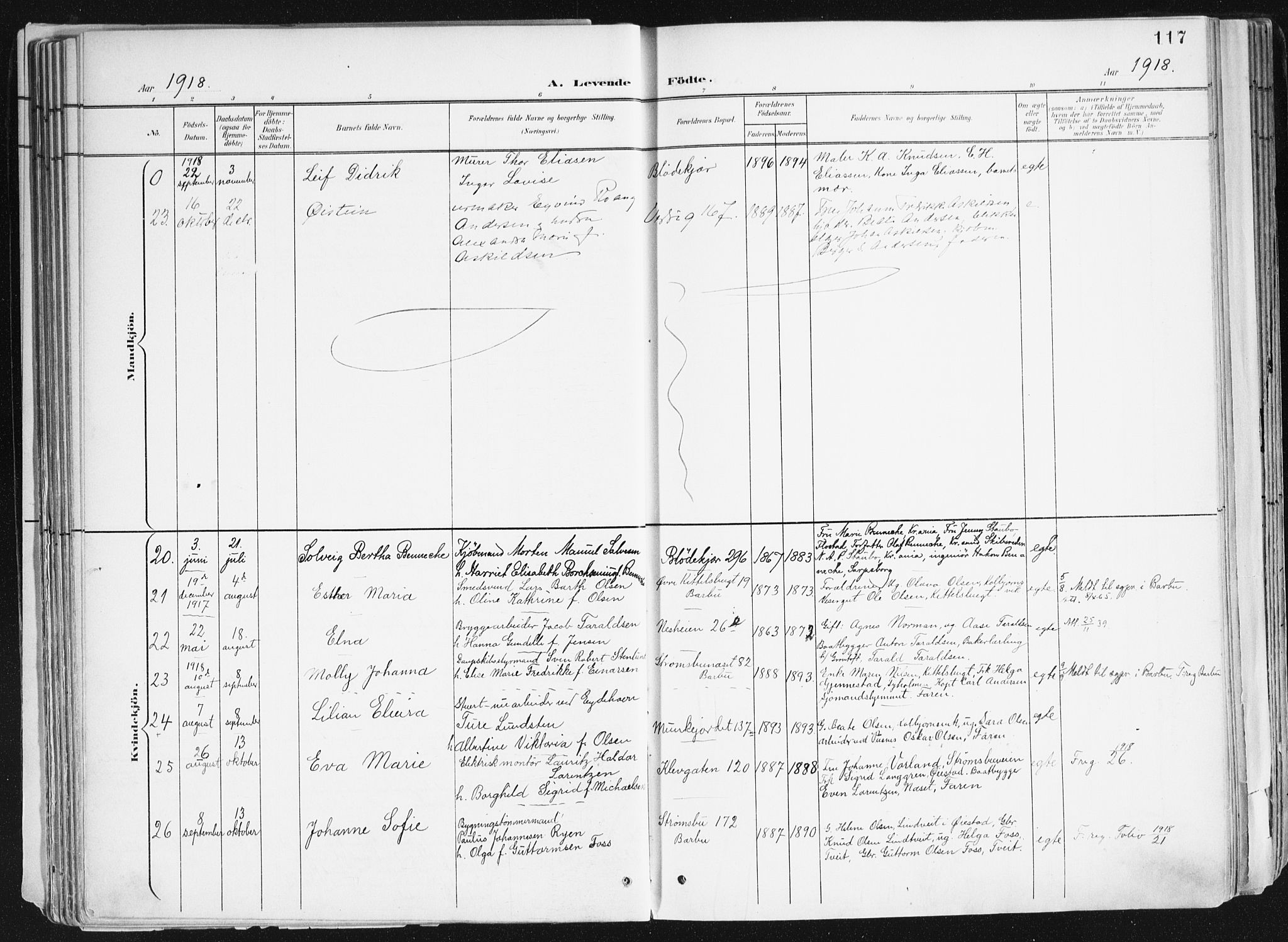 Arendal sokneprestkontor, Trefoldighet, AV/SAK-1111-0040/F/Fa/L0010: Parish register (official) no. A 10, 1900-1919, p. 117