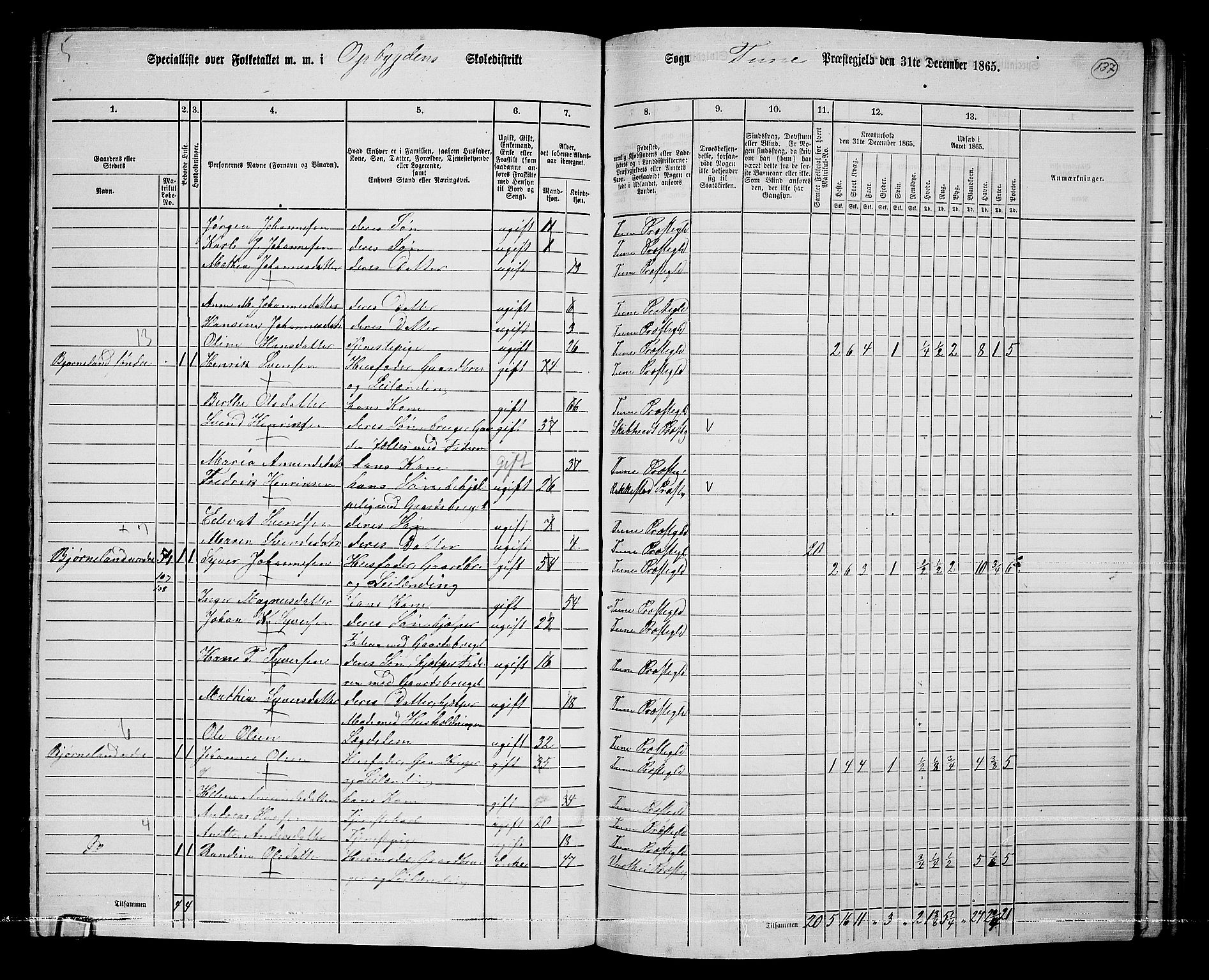 RA, 1865 census for Tune, 1865, p. 219