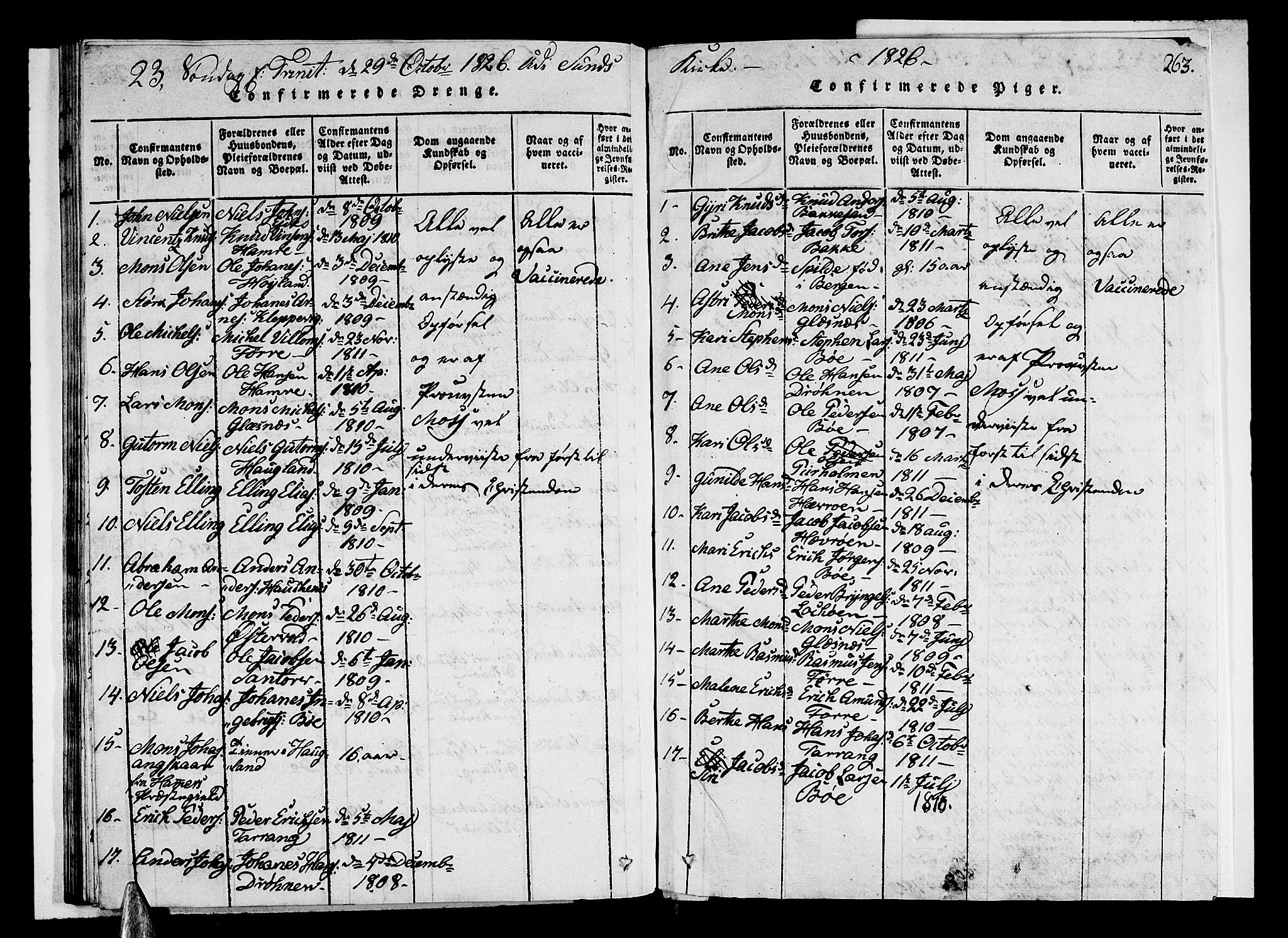 Sund sokneprestembete, AV/SAB-A-99930: Parish register (copy) no. A 1, 1816-1827, p. 263