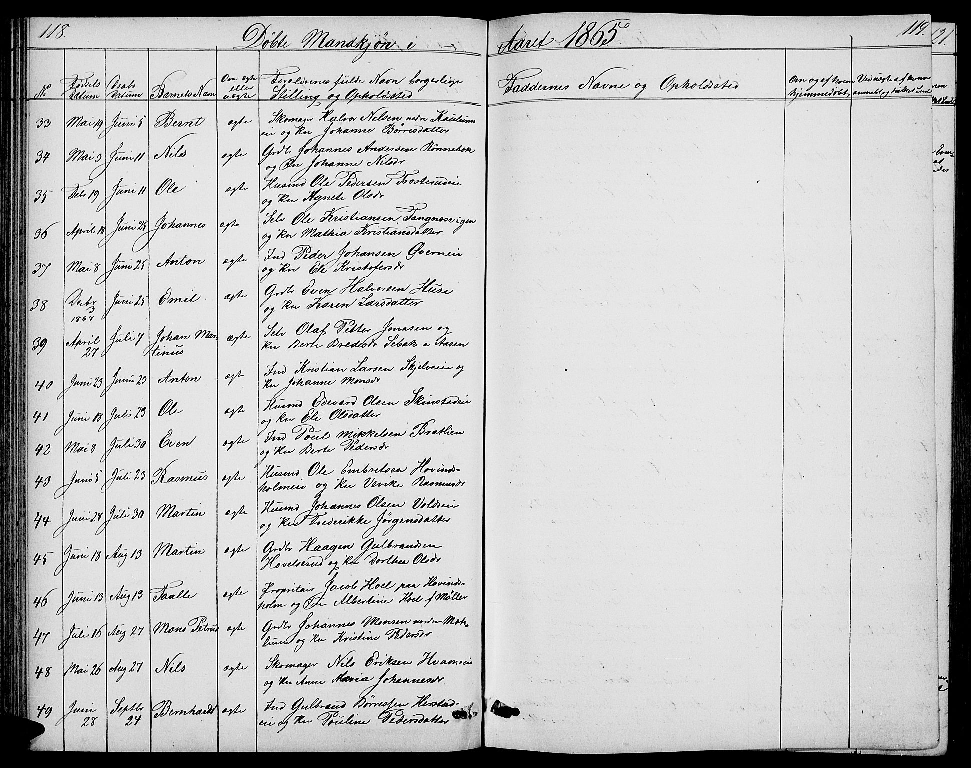 Nes prestekontor, Hedmark, AV/SAH-PREST-020/L/La/L0005: Parish register (copy) no. 5, 1852-1889, p. 118-119