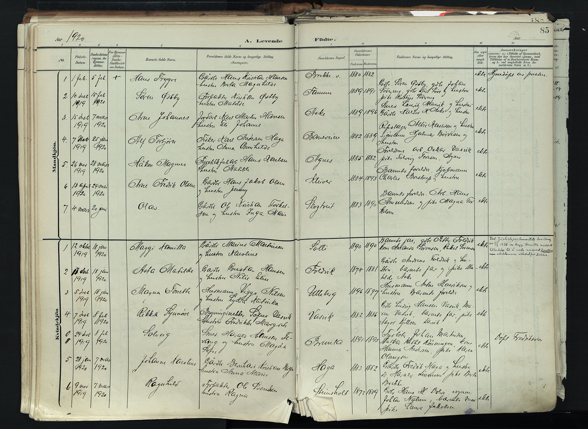 Brunlanes kirkebøker, SAKO/A-342/F/Fc/L0003: Parish register (official) no. III 3, 1900-1922, p. 85