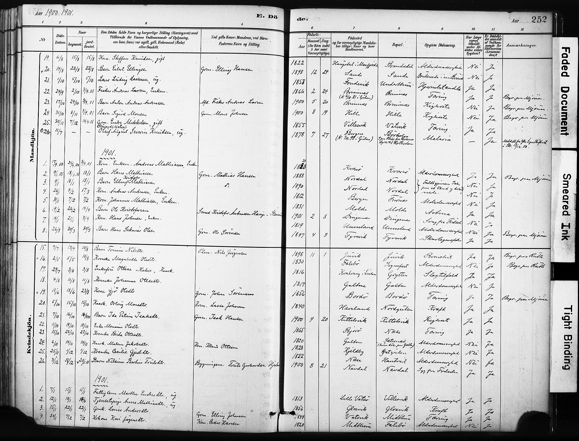 Gulen sokneprestembete, SAB/A-80201/H/Haa/Haab/L0001: Parish register (official) no. B 1, 1881-1905, p. 252