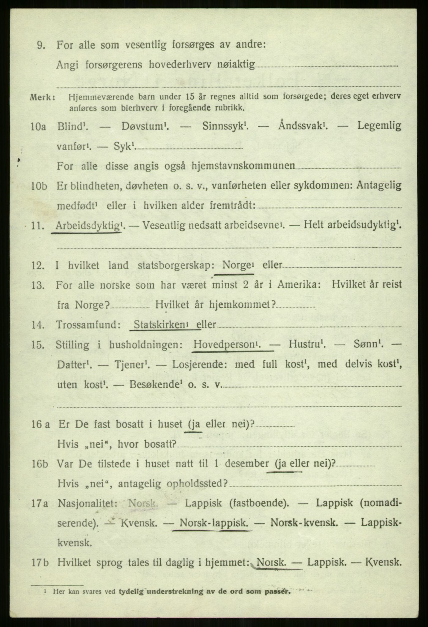 SATØ, 1920 census for Tromsøysund, 1920, p. 11265