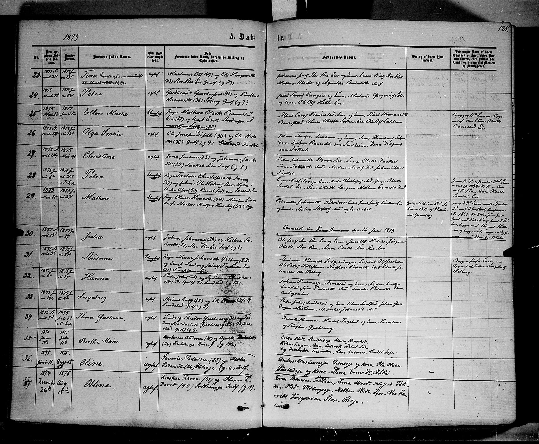 Stange prestekontor, SAH/PREST-002/K/L0013: Parish register (official) no. 13, 1862-1879, p. 125