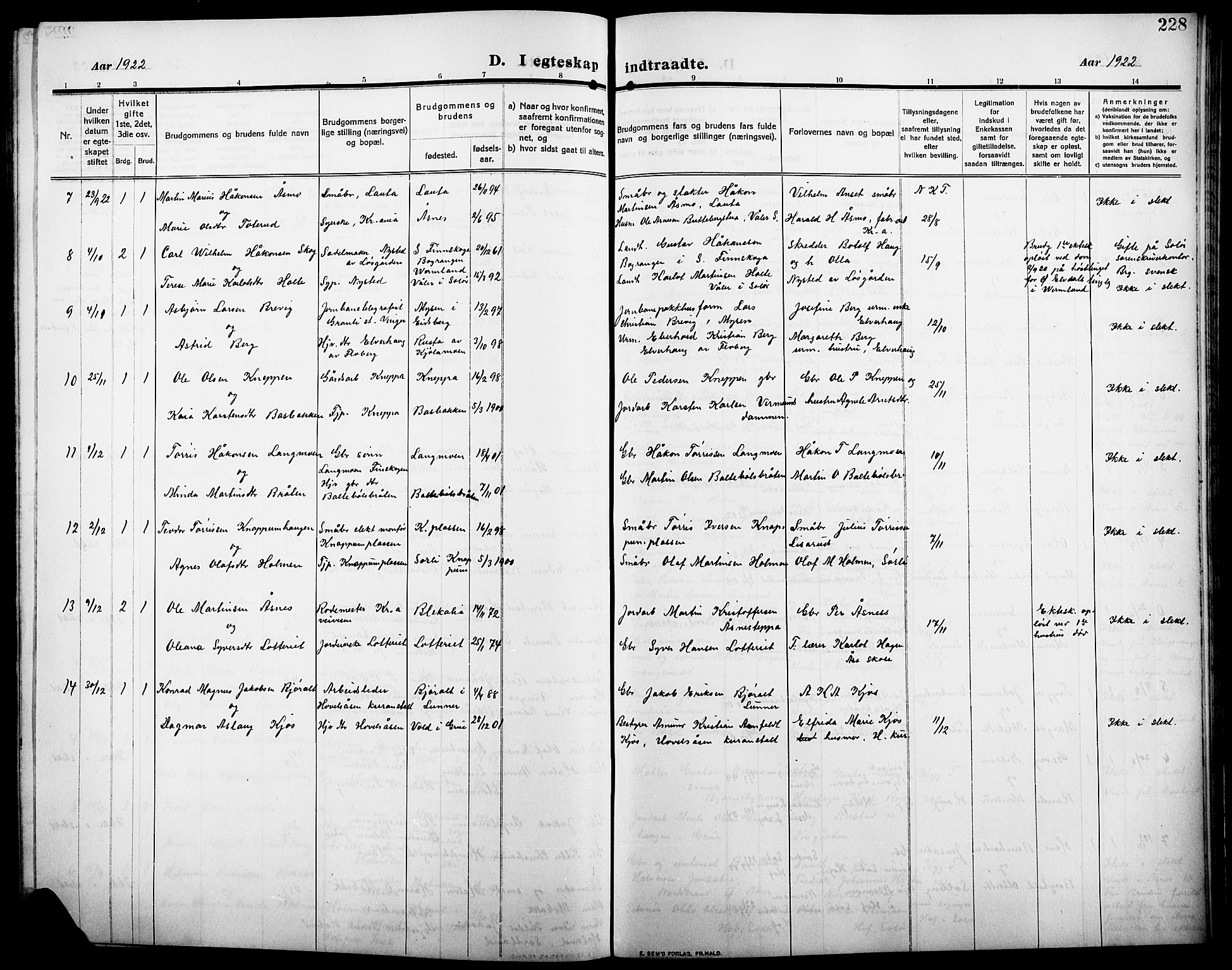 Åsnes prestekontor, AV/SAH-PREST-042/H/Ha/Hab/L0007: Parish register (copy) no. 7, 1909-1926, p. 228