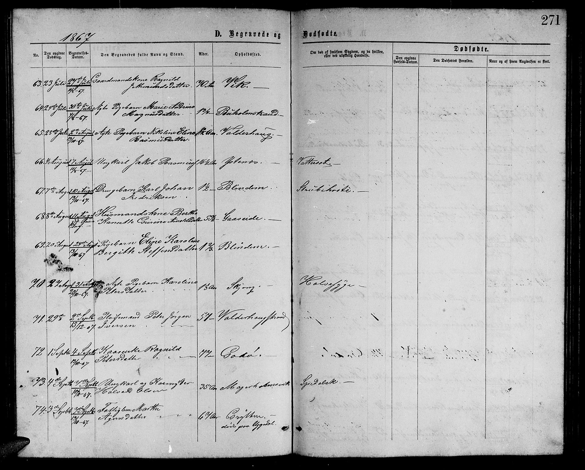 Ministerialprotokoller, klokkerbøker og fødselsregistre - Møre og Romsdal, AV/SAT-A-1454/528/L0428: Parish register (copy) no. 528C09, 1864-1880, p. 271