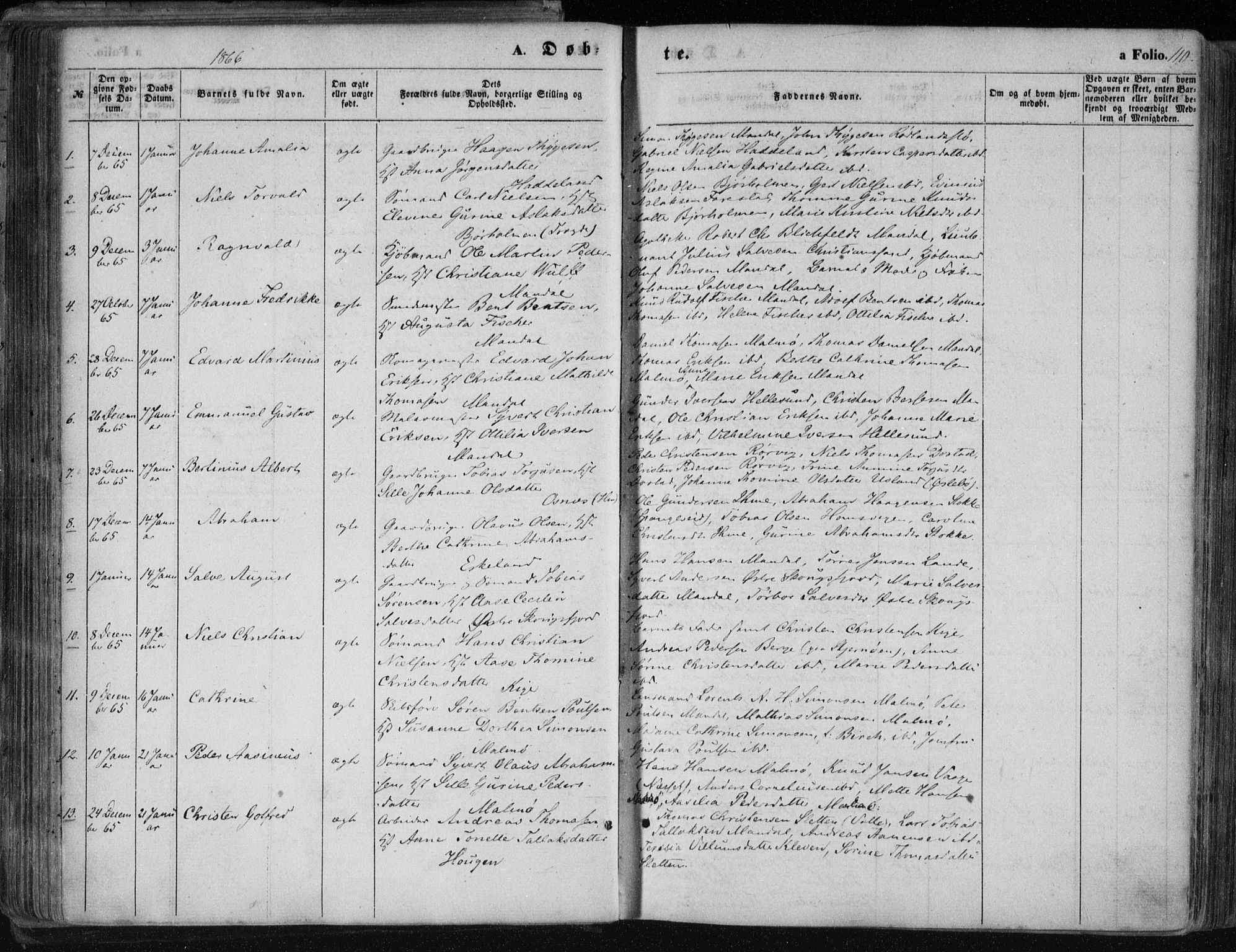 Mandal sokneprestkontor, SAK/1111-0030/F/Fa/Faa/L0014: Parish register (official) no. A 14, 1859-1872, p. 110