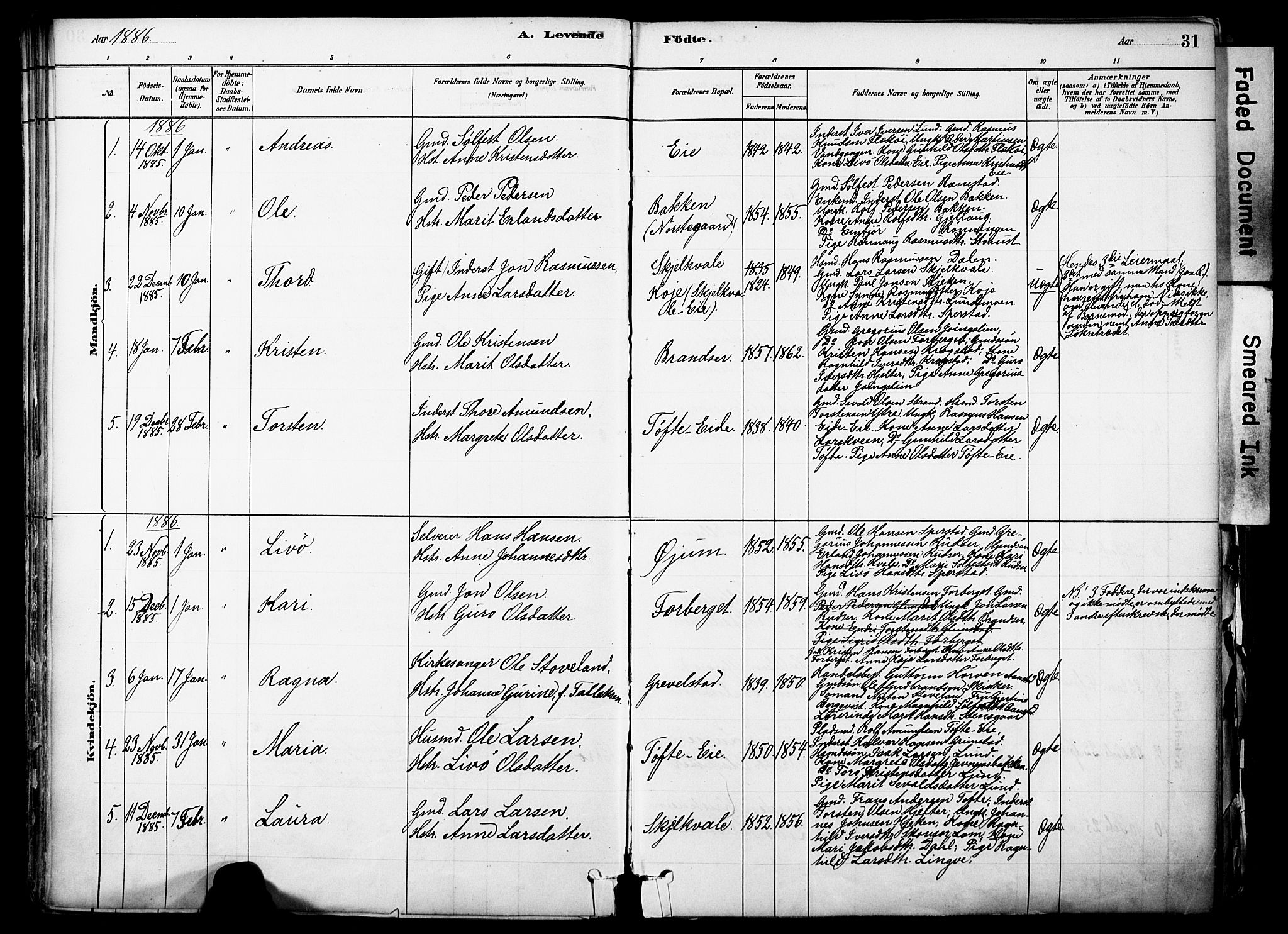 Skjåk prestekontor, SAH/PREST-072/H/Ha/Haa/L0003: Parish register (official) no. 3, 1880-1907, p. 31