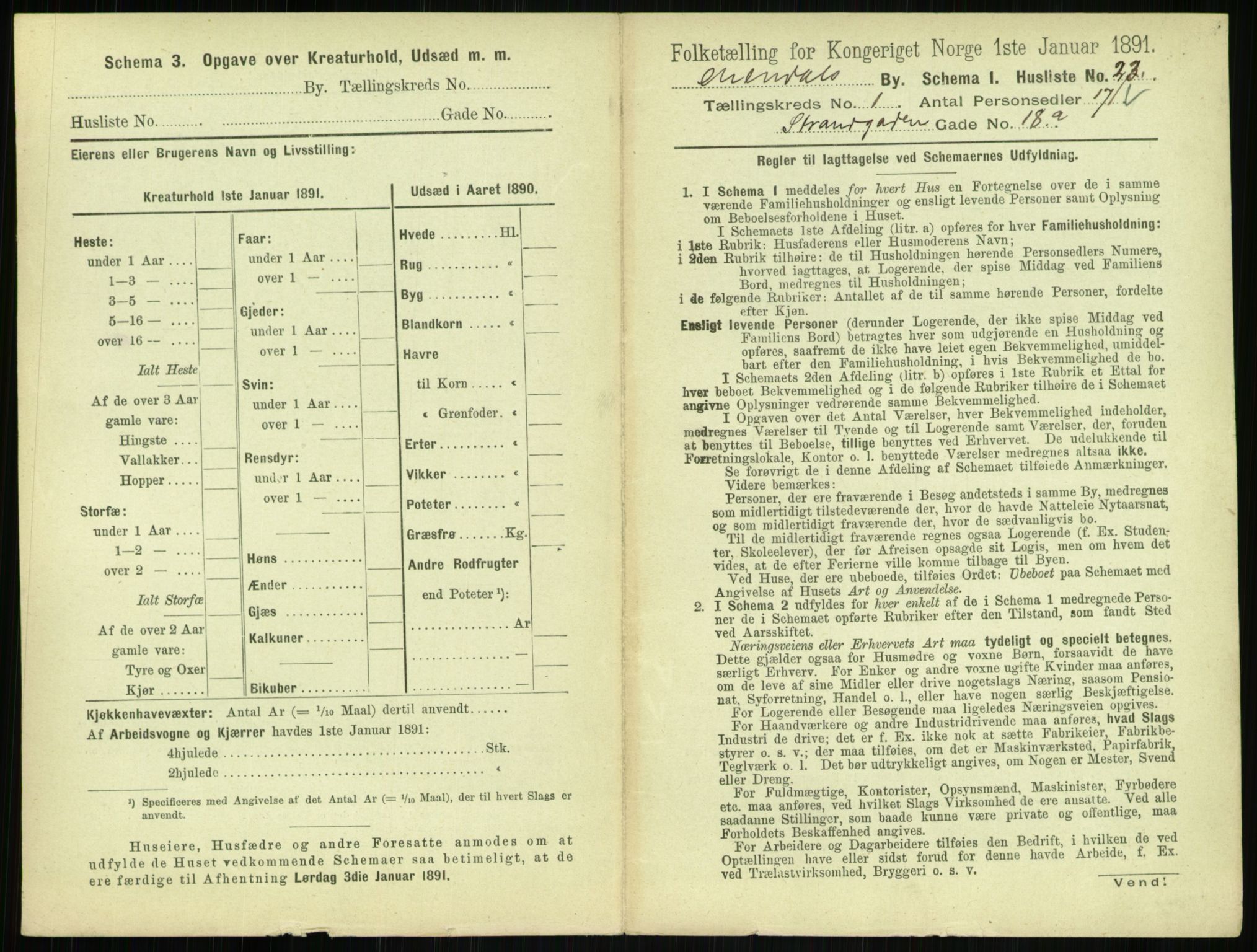 RA, 1891 census for 0903 Arendal, 1891, p. 80