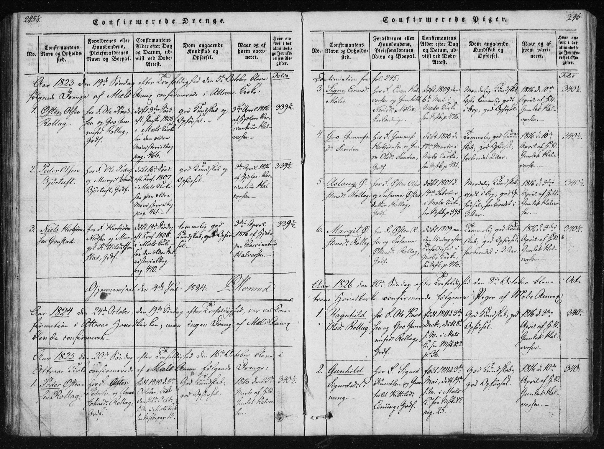 Tinn kirkebøker, SAKO/A-308/F/Fb/L0001: Parish register (official) no. II 1, 1815-1843, p. 246