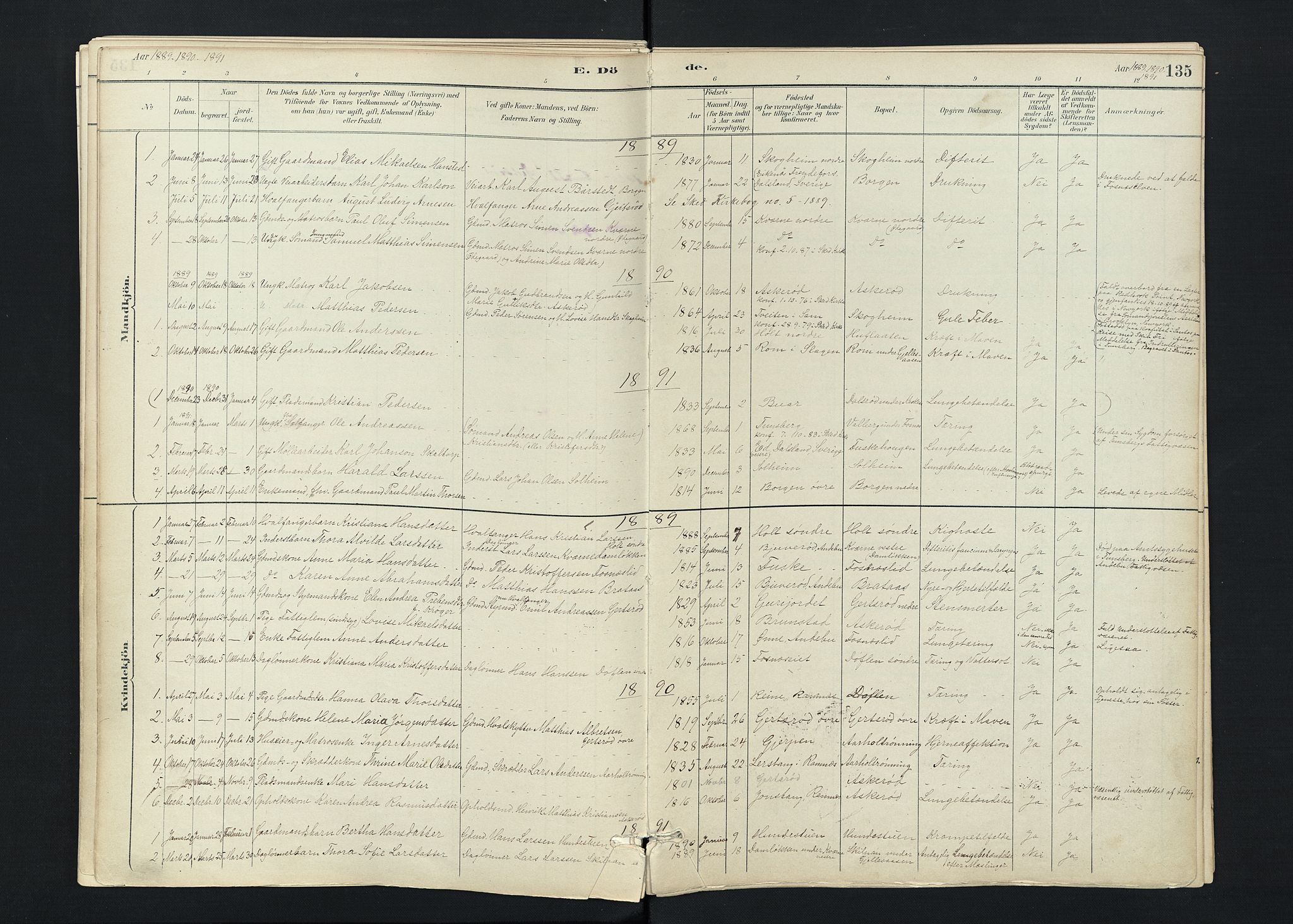 Stokke kirkebøker, SAKO/A-320/F/Fc/L0001: Parish register (official) no. III 1, 1884-1910, p. 135