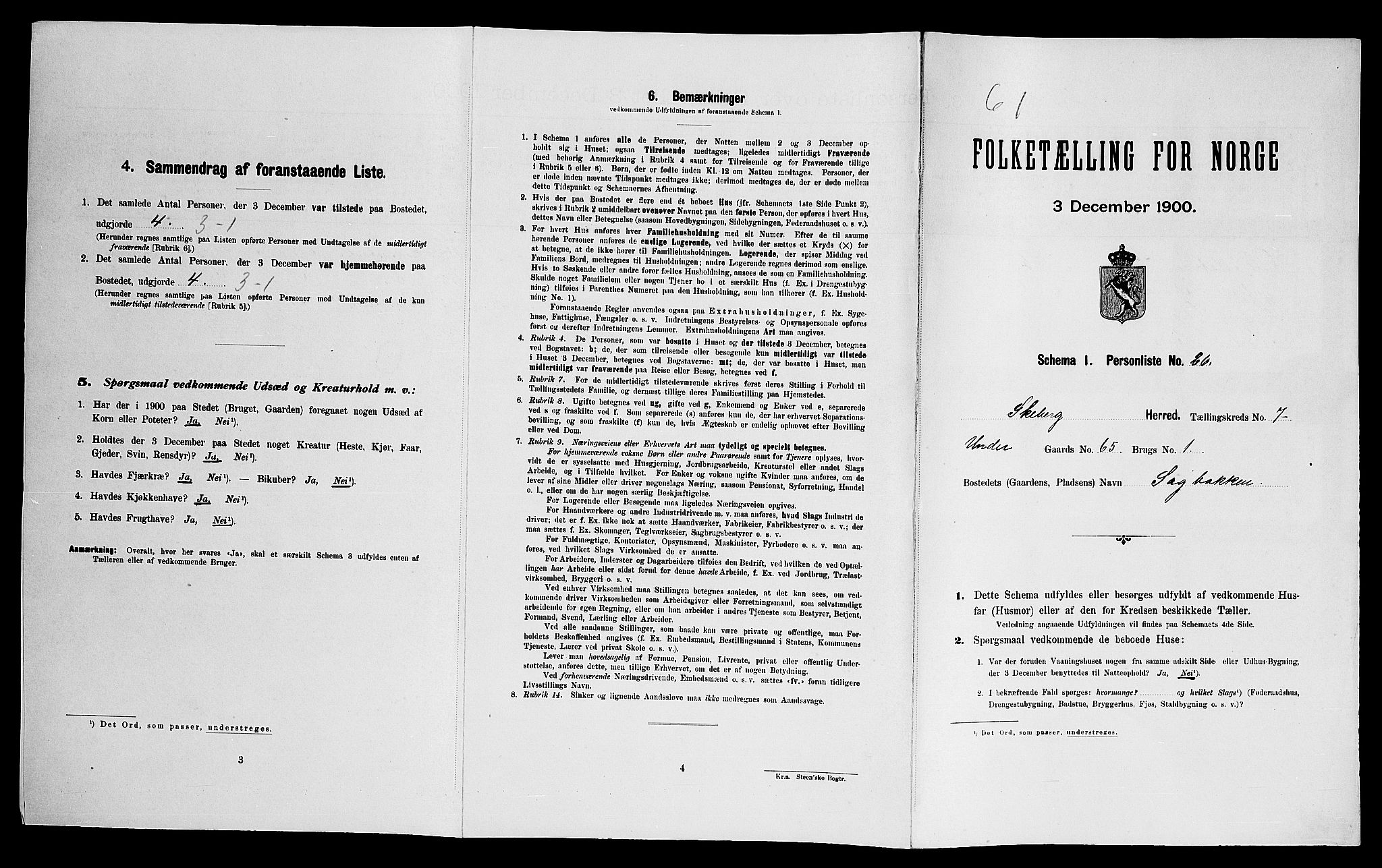 SAO, 1900 census for Skjeberg, 1900, p. 967