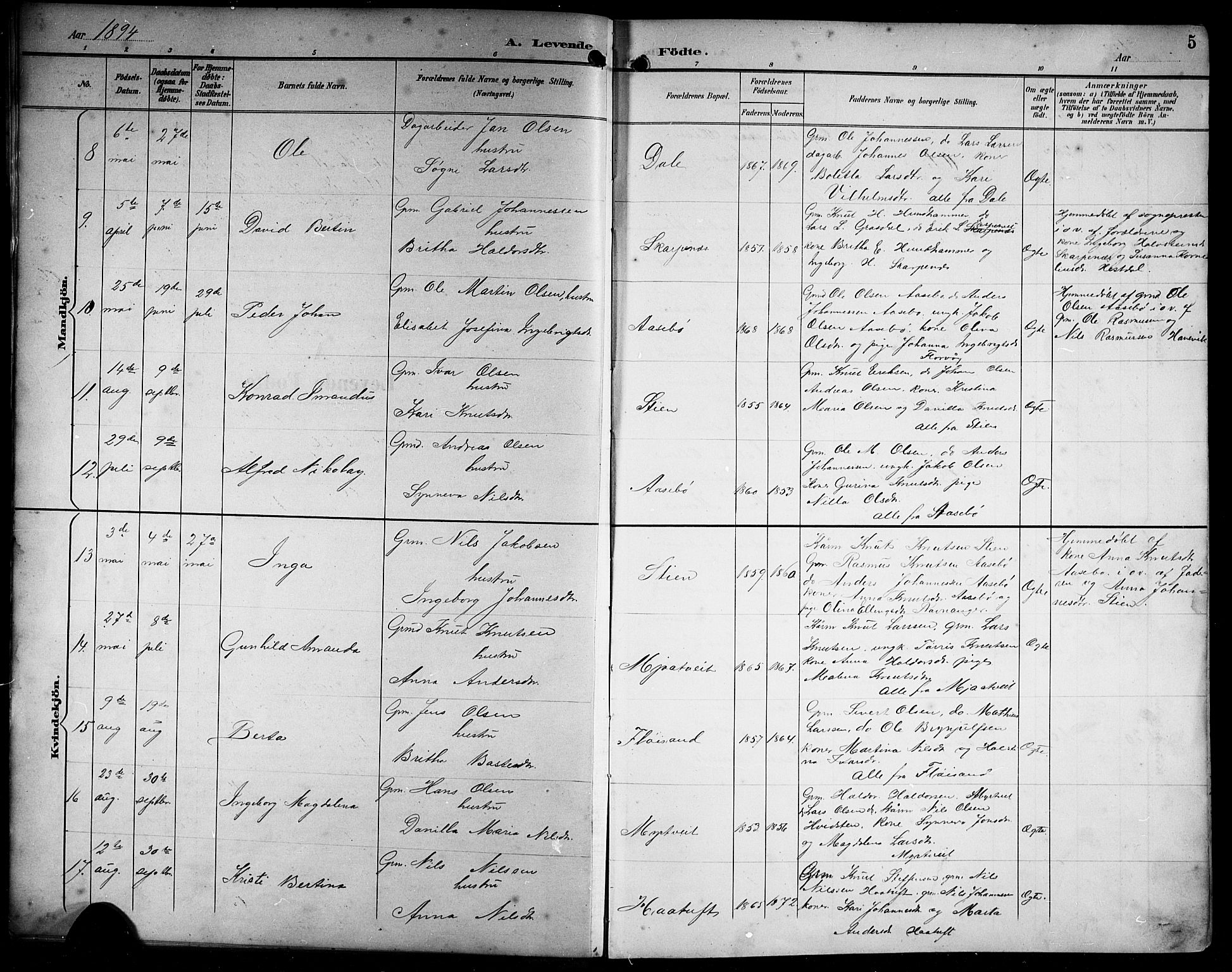 Alversund Sokneprestembete, SAB/A-73901/H/Ha/Hab: Parish register (copy) no. C 4, 1894-1924, p. 5
