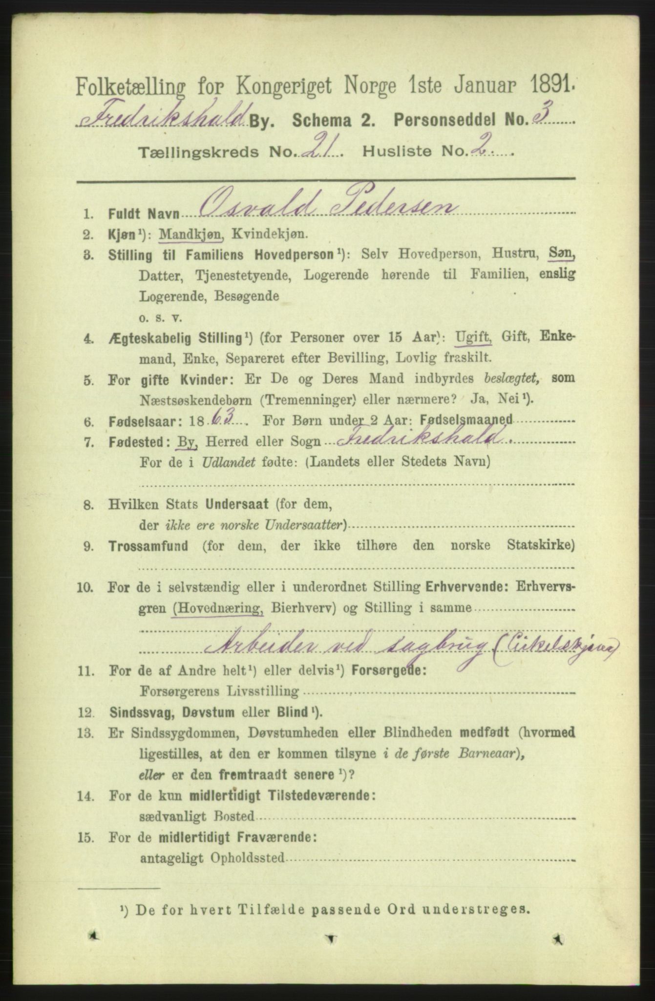 RA, 1891 census for 0101 Fredrikshald, 1891, p. 13081