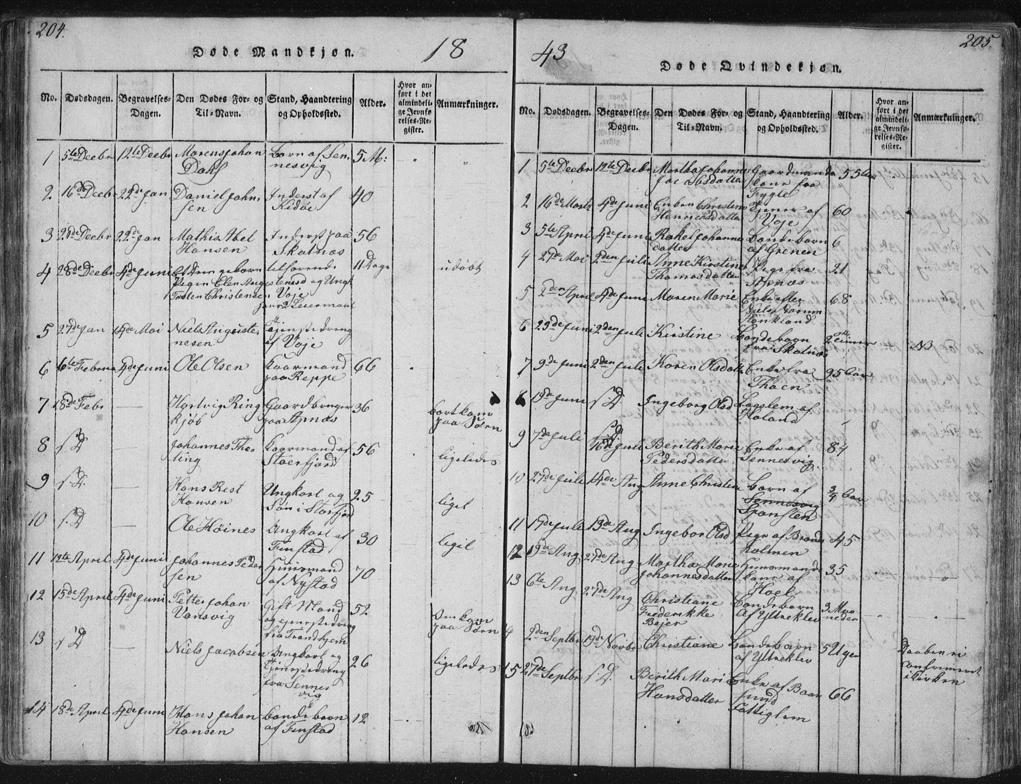 Ministerialprotokoller, klokkerbøker og fødselsregistre - Nordland, SAT/A-1459/881/L1164: Parish register (copy) no. 881C01, 1818-1853, p. 204-205
