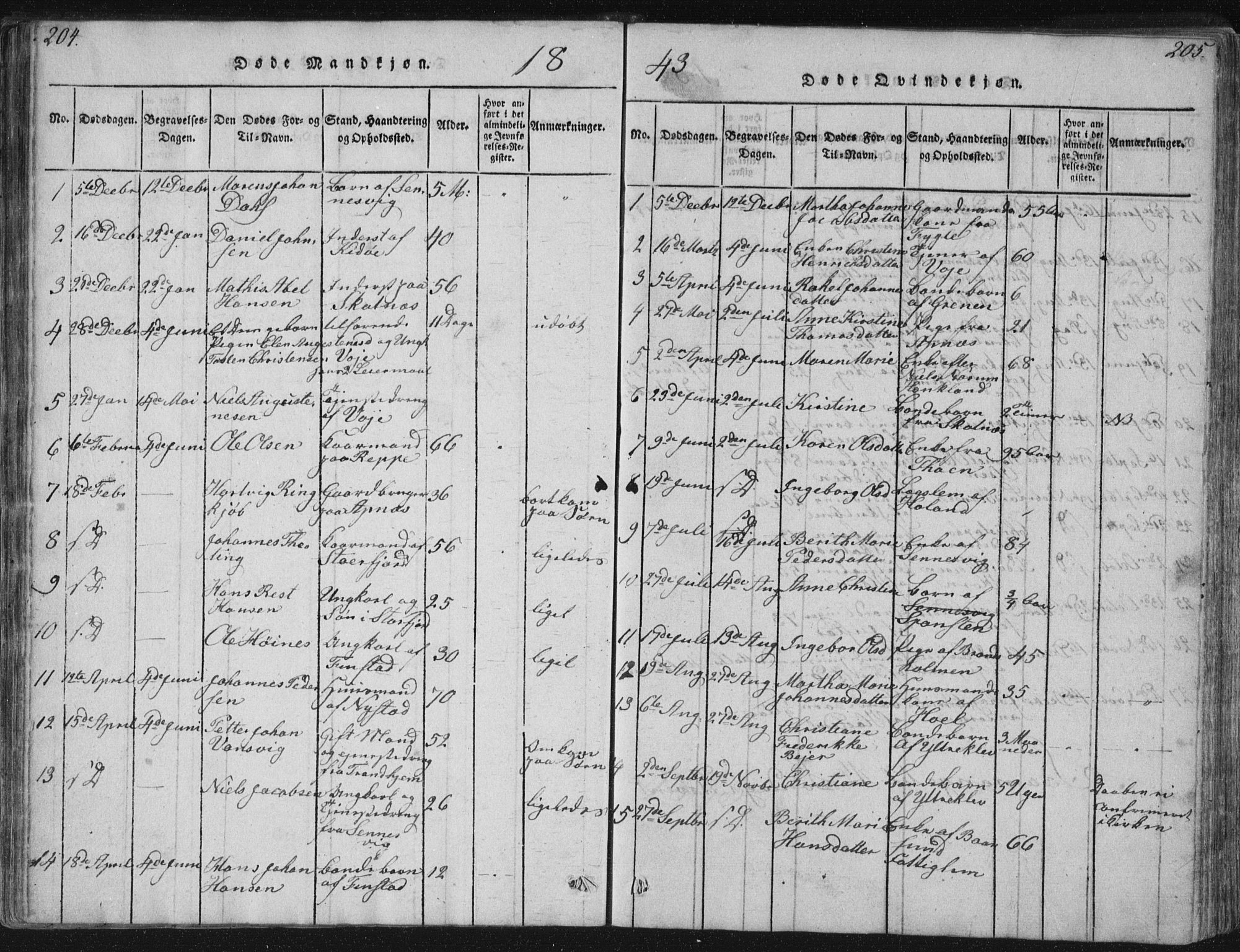 Ministerialprotokoller, klokkerbøker og fødselsregistre - Nordland, AV/SAT-A-1459/881/L1164: Parish register (copy) no. 881C01, 1818-1853, p. 204-205