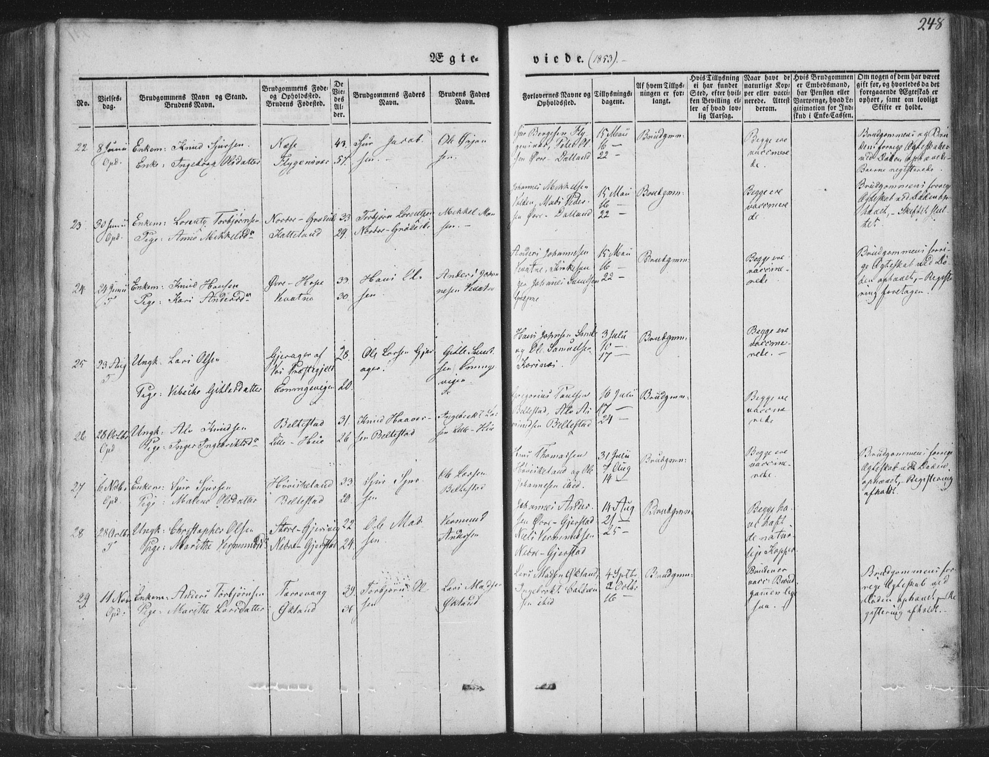 Tysnes sokneprestembete, SAB/A-78601/H/Haa: Parish register (official) no. A 10, 1848-1859, p. 248