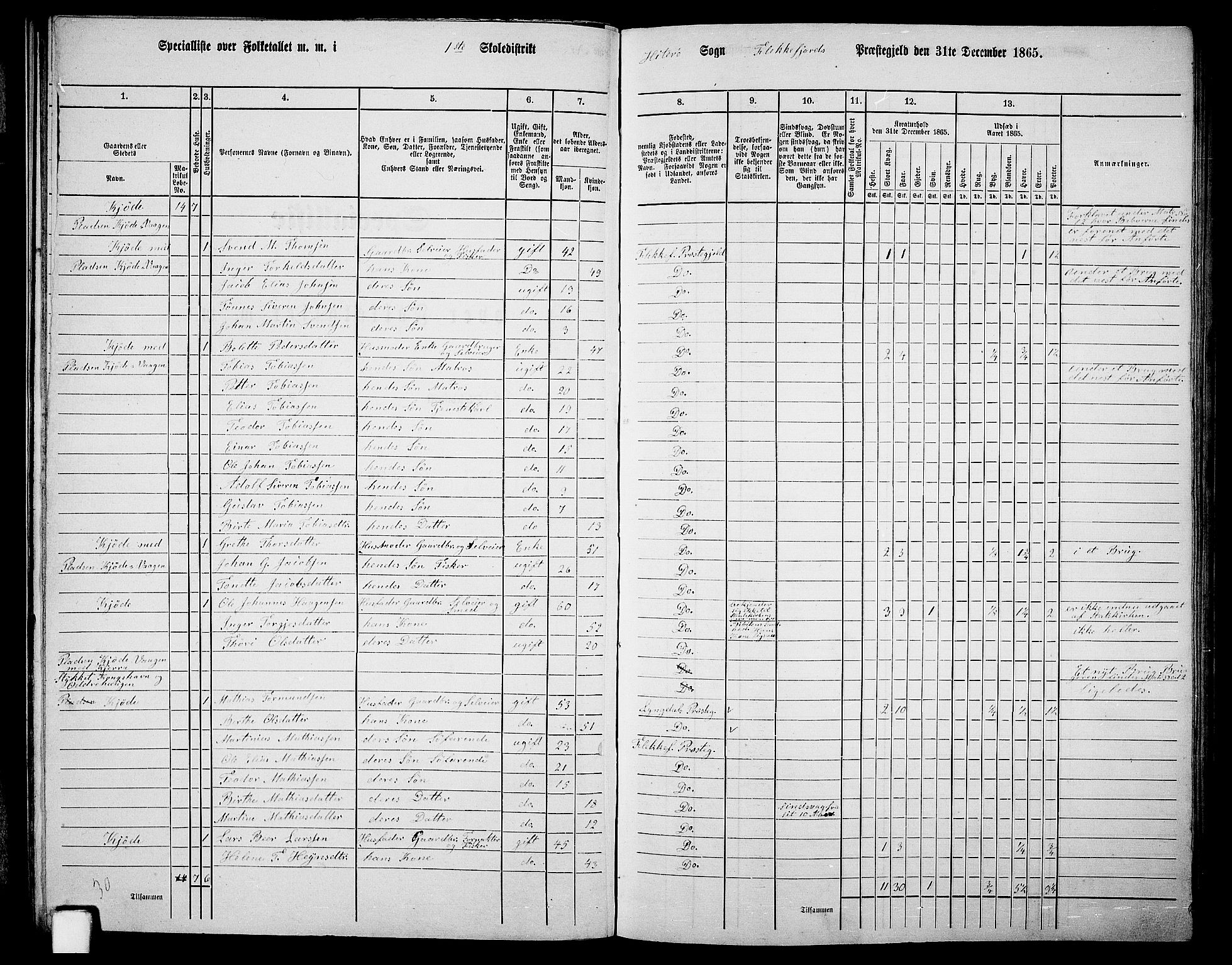 RA, 1865 census for Flekkefjord/Nes og Hidra, 1865, p. 29