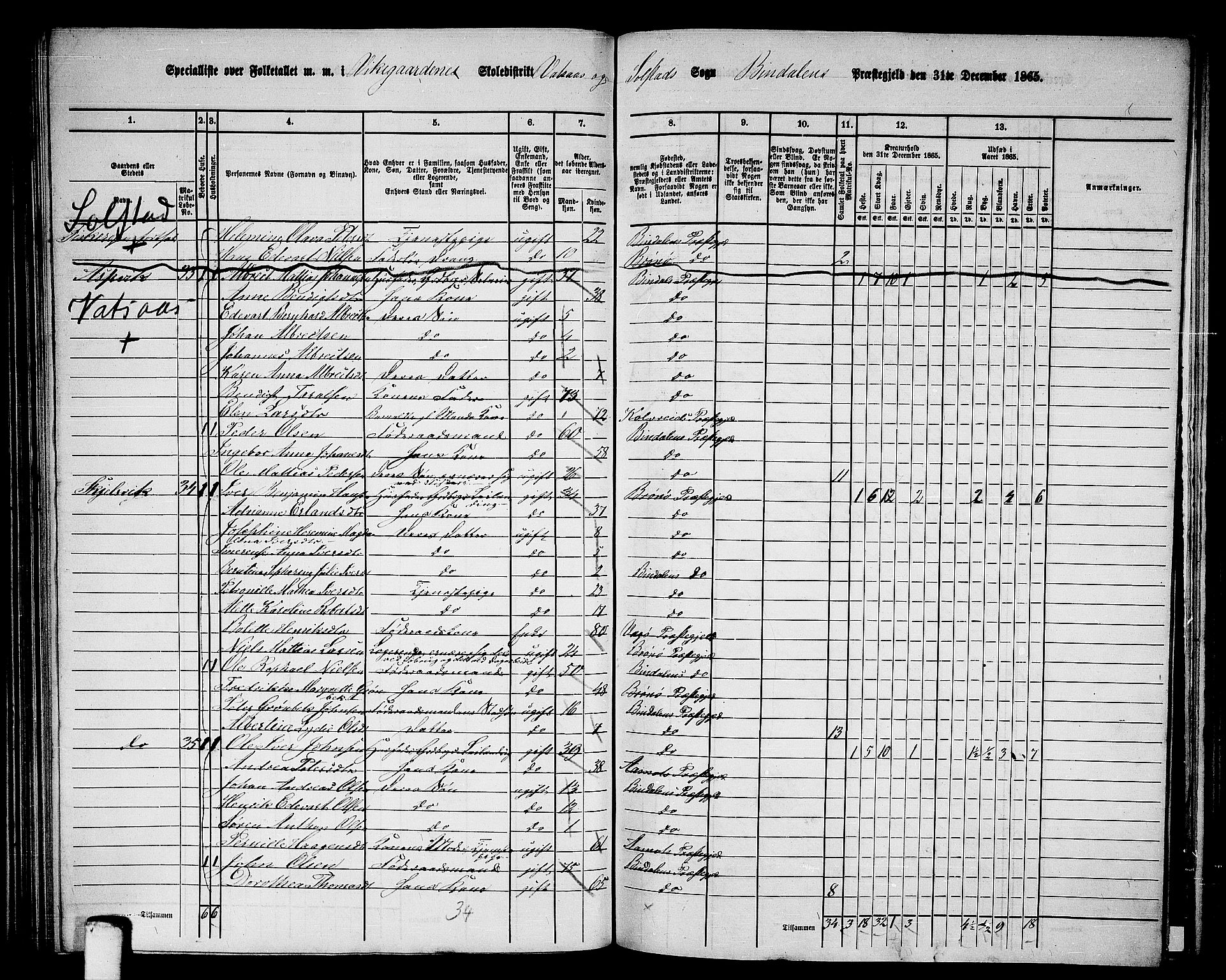 RA, 1865 census for Bindal, 1865, p. 78