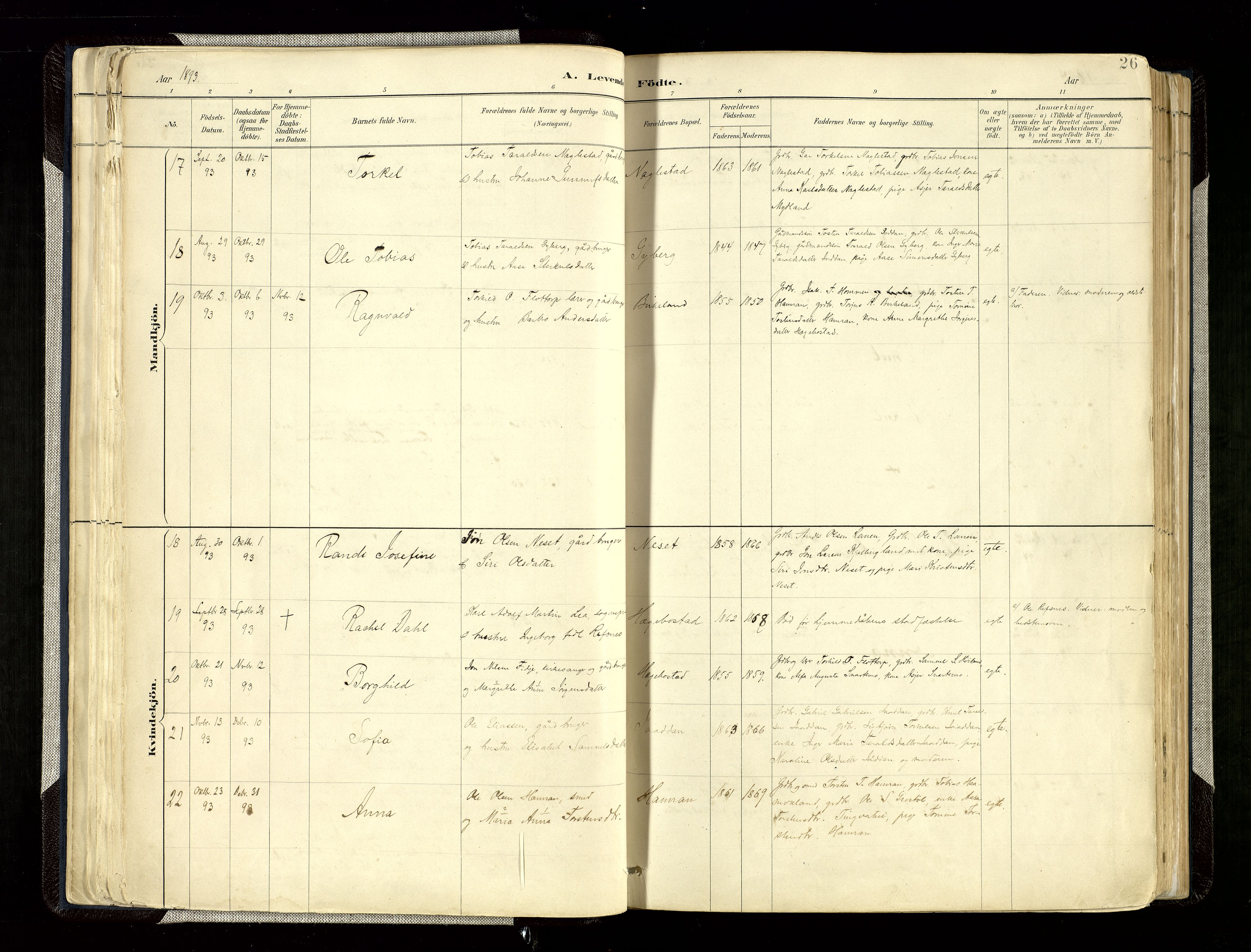 Hægebostad sokneprestkontor, AV/SAK-1111-0024/F/Fa/Faa/L0006: Parish register (official) no. A 6, 1887-1929, p. 26