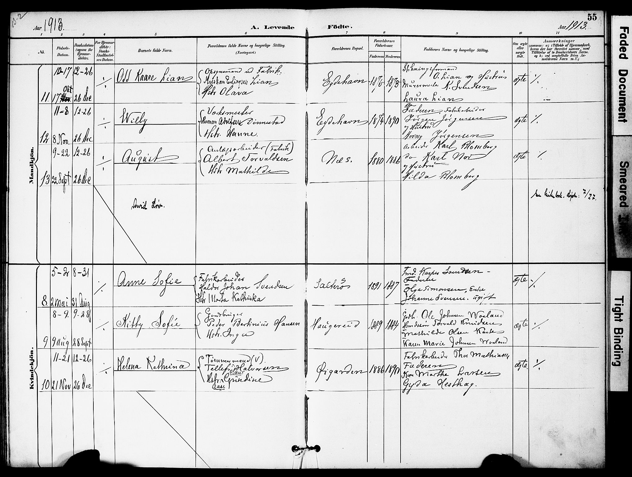 Austre Moland sokneprestkontor, AV/SAK-1111-0001/F/Fa/Fab/L0002: Parish register (official) no. A 2, 1894-1919, p. 55