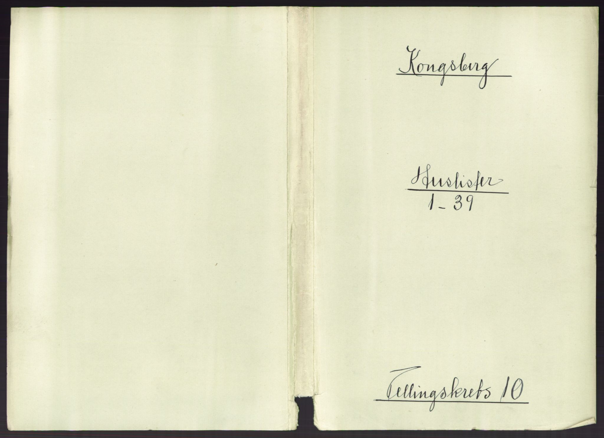 RA, 1891 census for 0604 Kongsberg, 1891, p. 1371