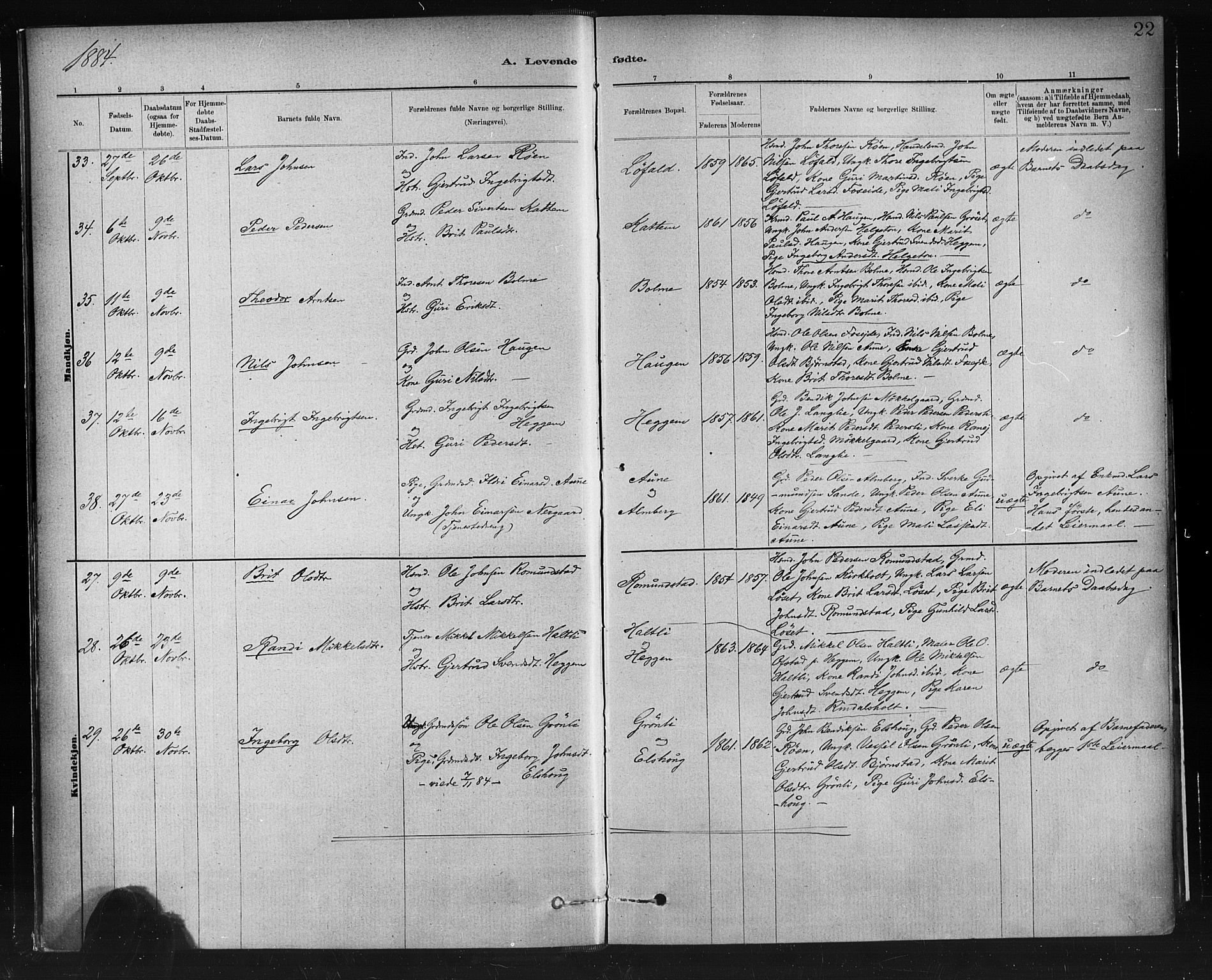 Ministerialprotokoller, klokkerbøker og fødselsregistre - Møre og Romsdal, AV/SAT-A-1454/598/L1069: Parish register (official) no. 598A03, 1882-1895, p. 22