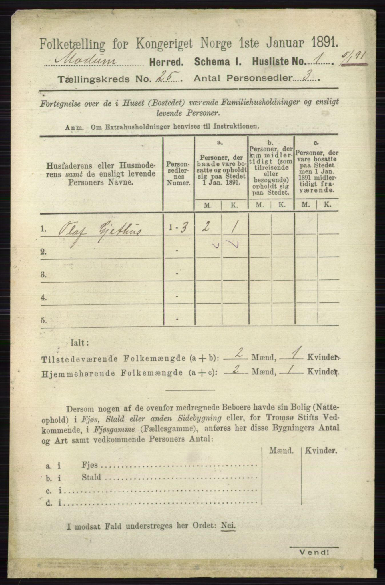 RA, 1891 census for 0623 Modum, 1891, p. 8995