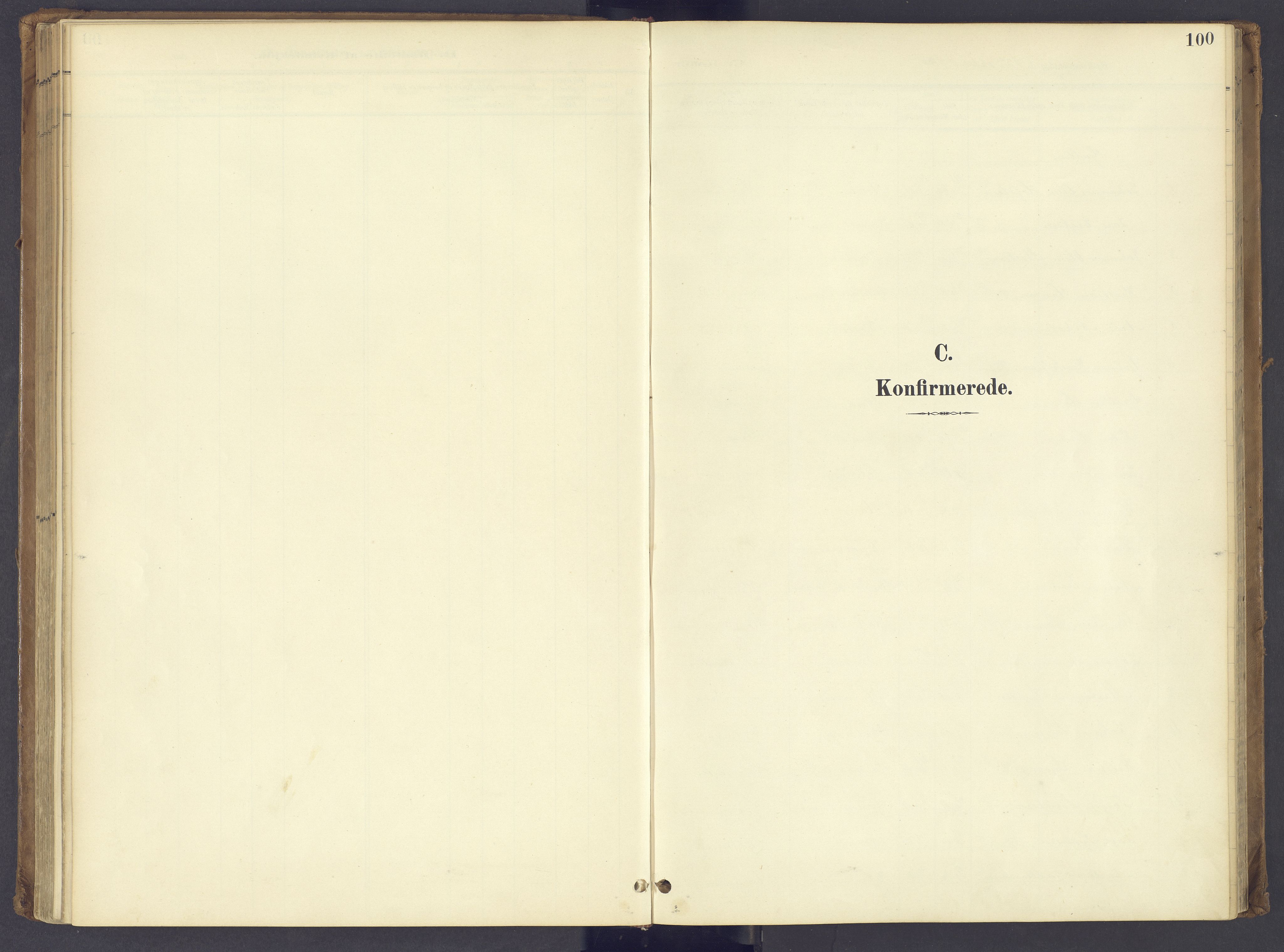 Søndre Land prestekontor, SAH/PREST-122/K/L0006: Parish register (official) no. 6, 1895-1904, p. 100