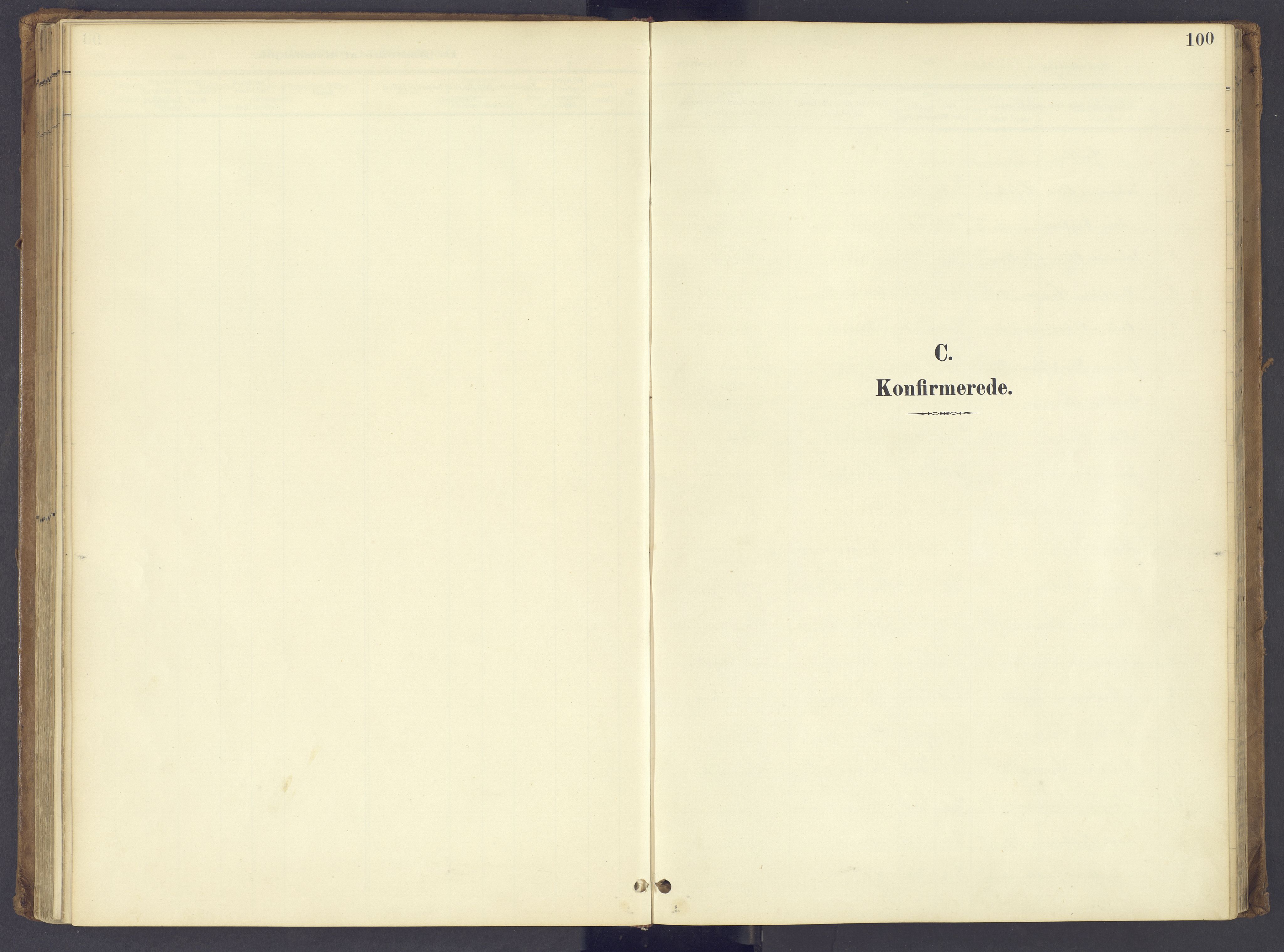 Søndre Land prestekontor, AV/SAH-PREST-122/K/L0006: Parish register (official) no. 6, 1895-1904, p. 100