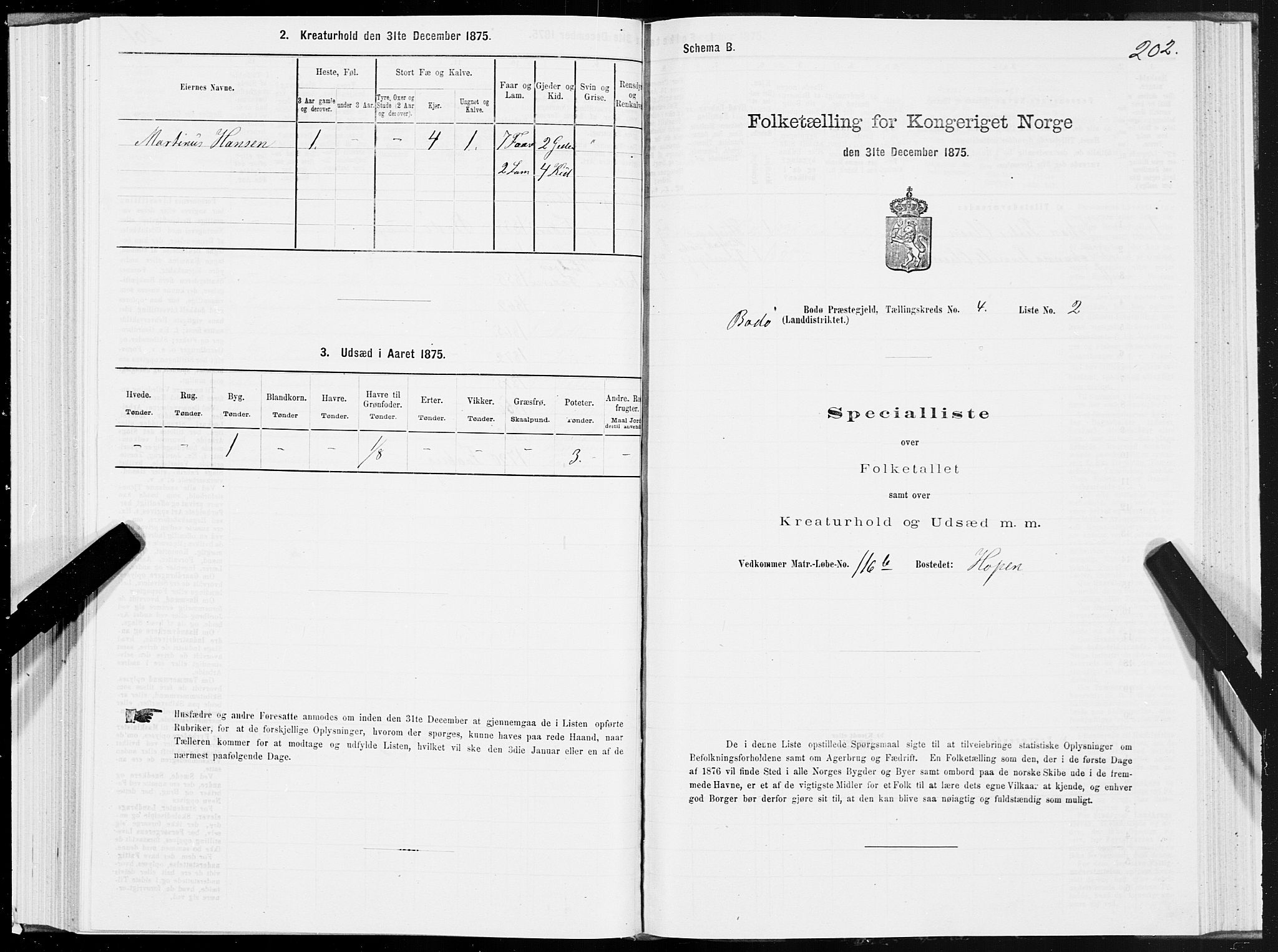 SAT, 1875 census for 1843L Bodø/Bodø, 1875, p. 2202