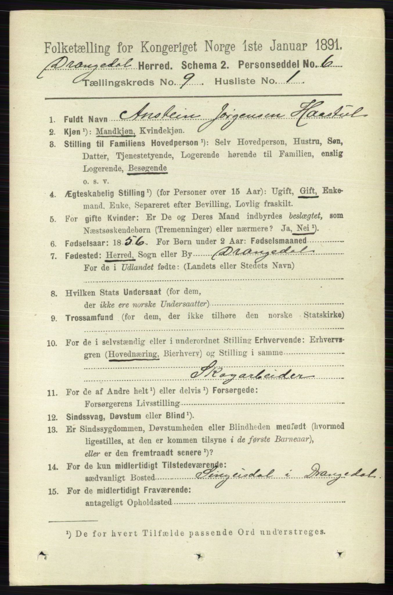 RA, 1891 census for 0817 Drangedal, 1891, p. 3128