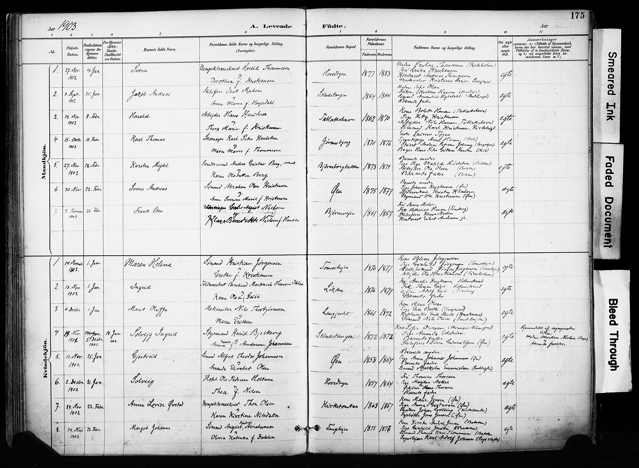 Kragerø kirkebøker, SAKO/A-278/F/Fa/L0013: Parish register (official) no. 13, 1887-1915, p. 175