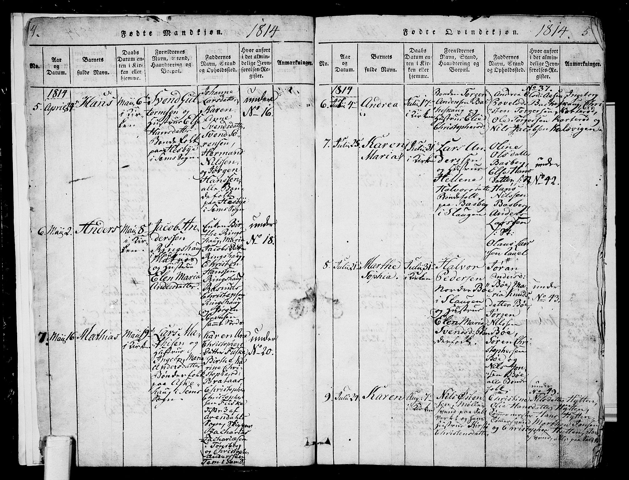 Sem kirkebøker, AV/SAKO-A-5/G/Ga/L0001: Parish register (copy) no. I 1, 1814-1825, p. 4-5