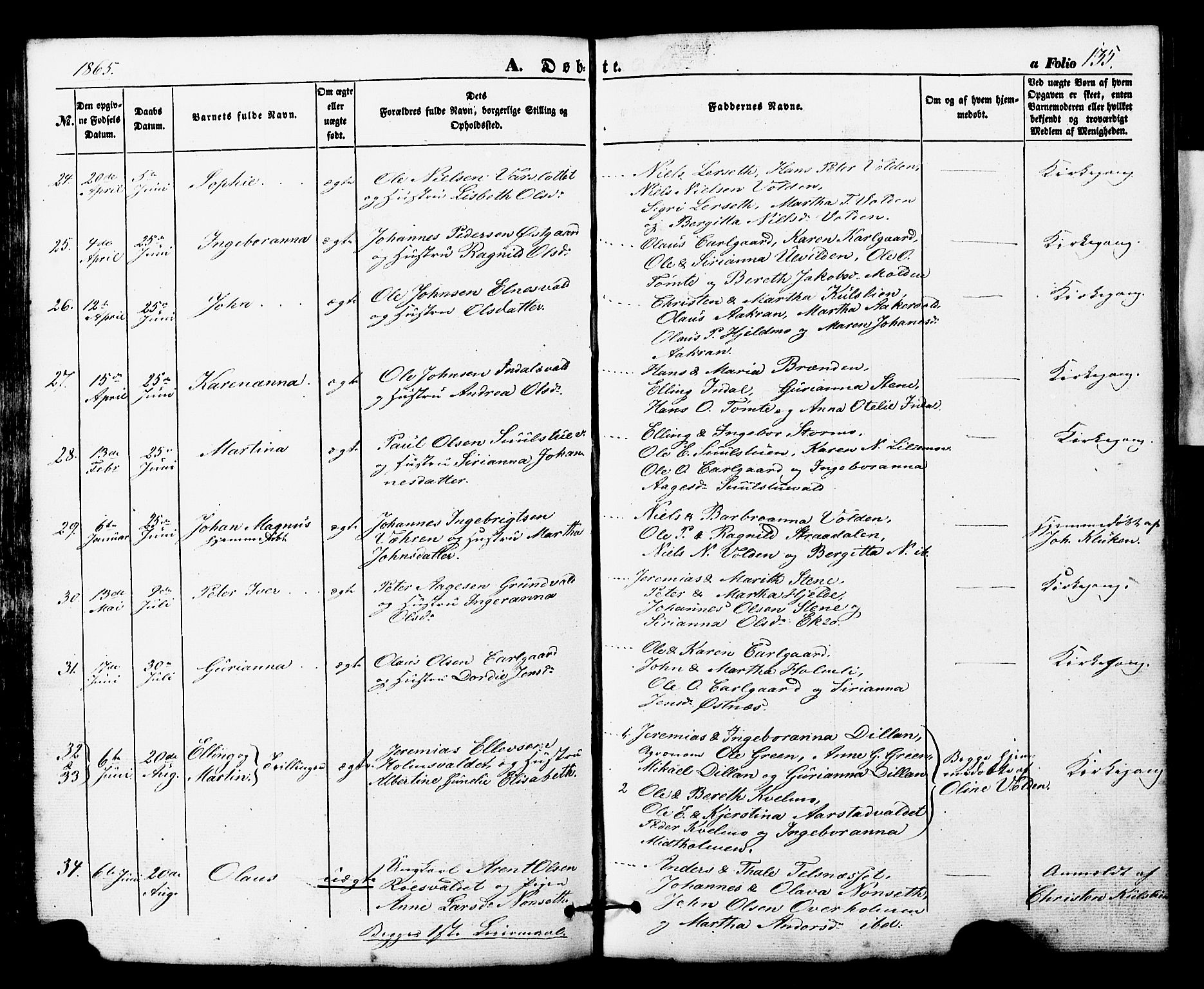 Ministerialprotokoller, klokkerbøker og fødselsregistre - Nord-Trøndelag, AV/SAT-A-1458/724/L0268: Parish register (copy) no. 724C04, 1846-1878, p. 135