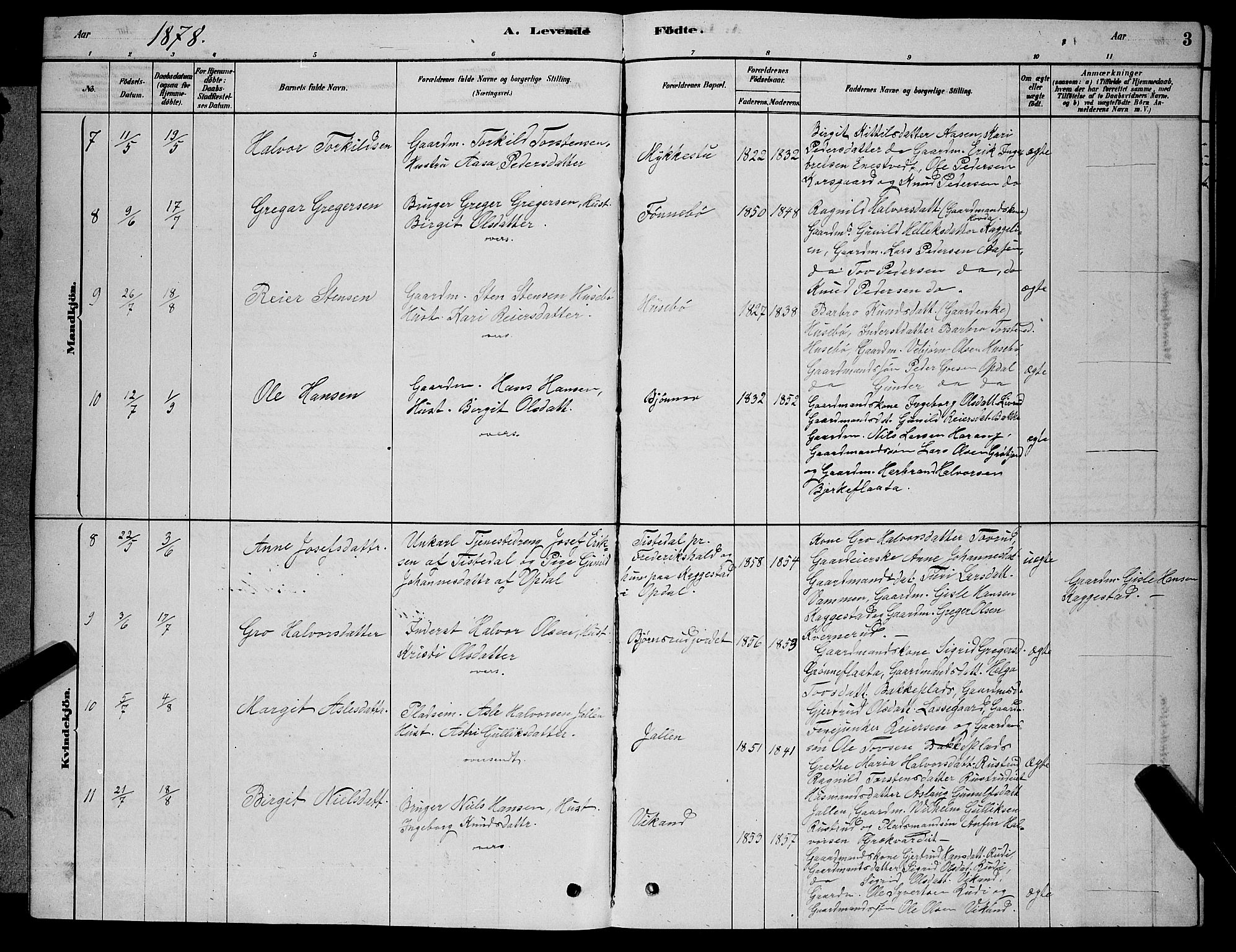 Nore kirkebøker, AV/SAKO-A-238/G/Gb/L0002: Parish register (copy) no. II 2, 1878-1894, p. 3