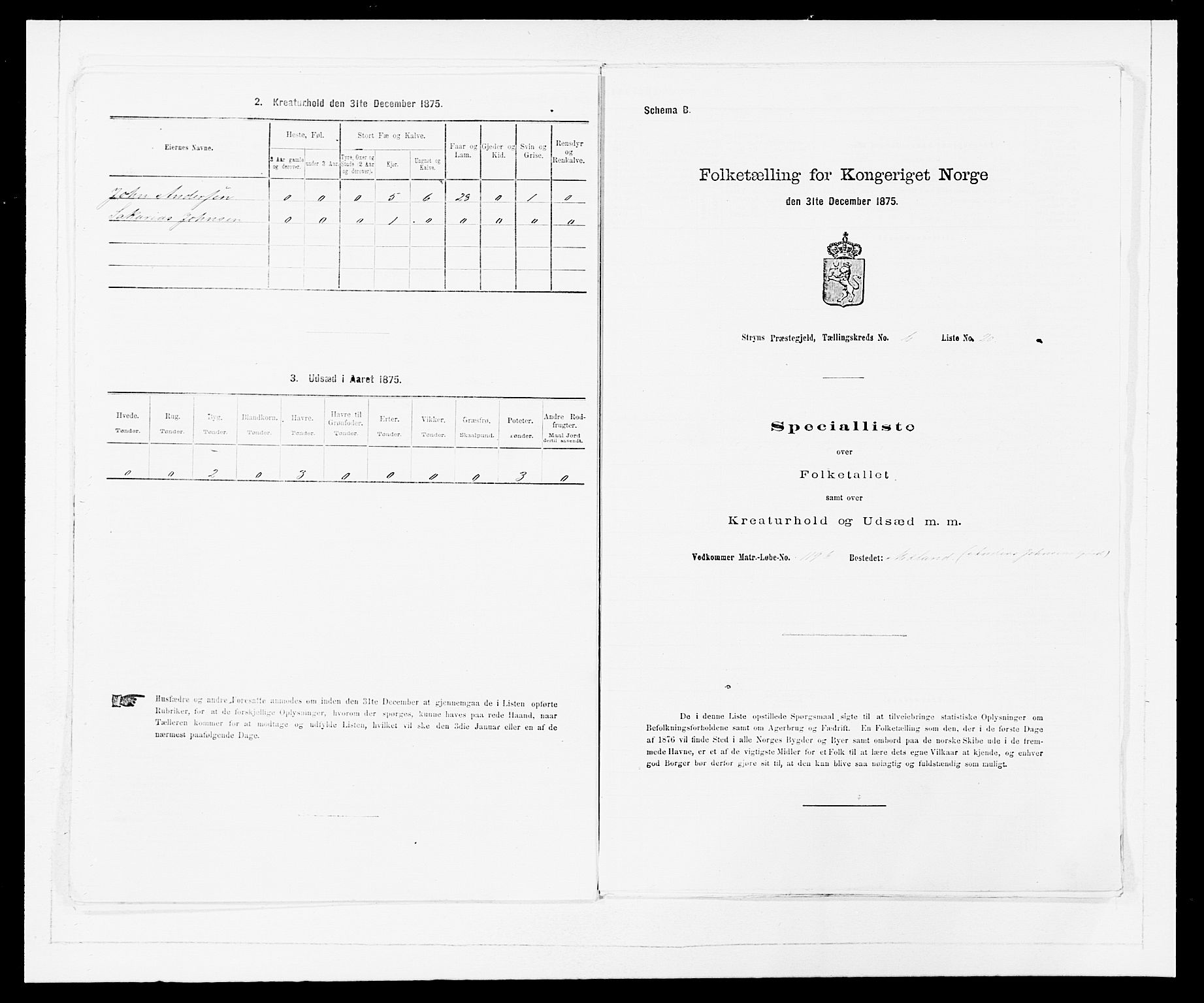 SAB, 1875 Census for 1448P Stryn, 1875, p. 433