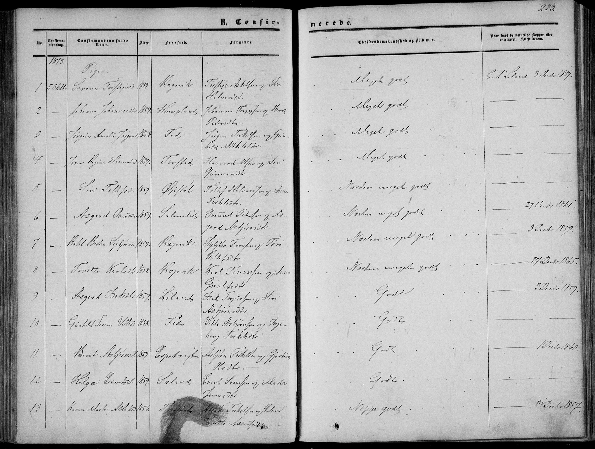 Sirdal sokneprestkontor, AV/SAK-1111-0036/F/Fa/Fab/L0002: Parish register (official) no. A 2, 1855-1874, p. 223