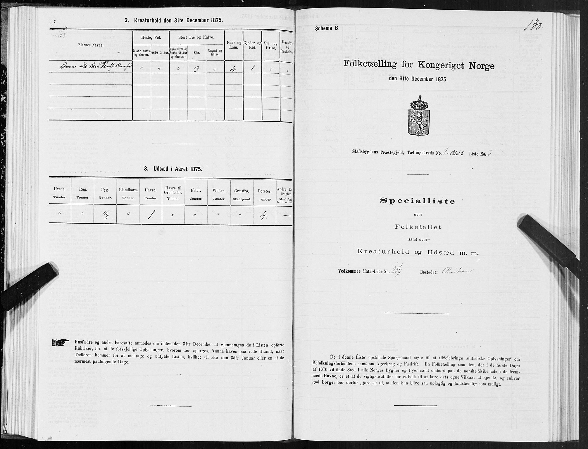 SAT, 1875 census for 1625P Stadsbygd, 1875, p. 1130