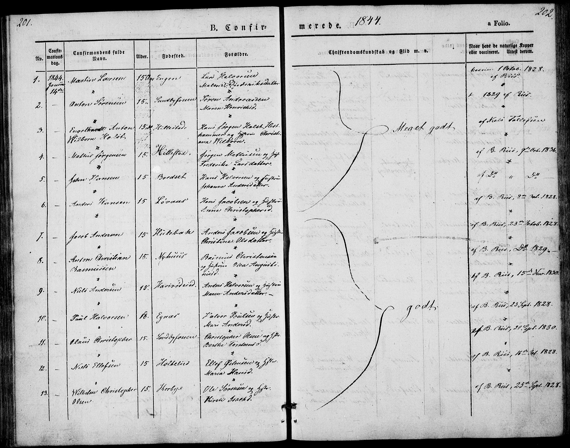 Hof kirkebøker, AV/SAKO-A-64/F/Fa/L0005: Parish register (official) no. I 5, 1844-1851, p. 201-202