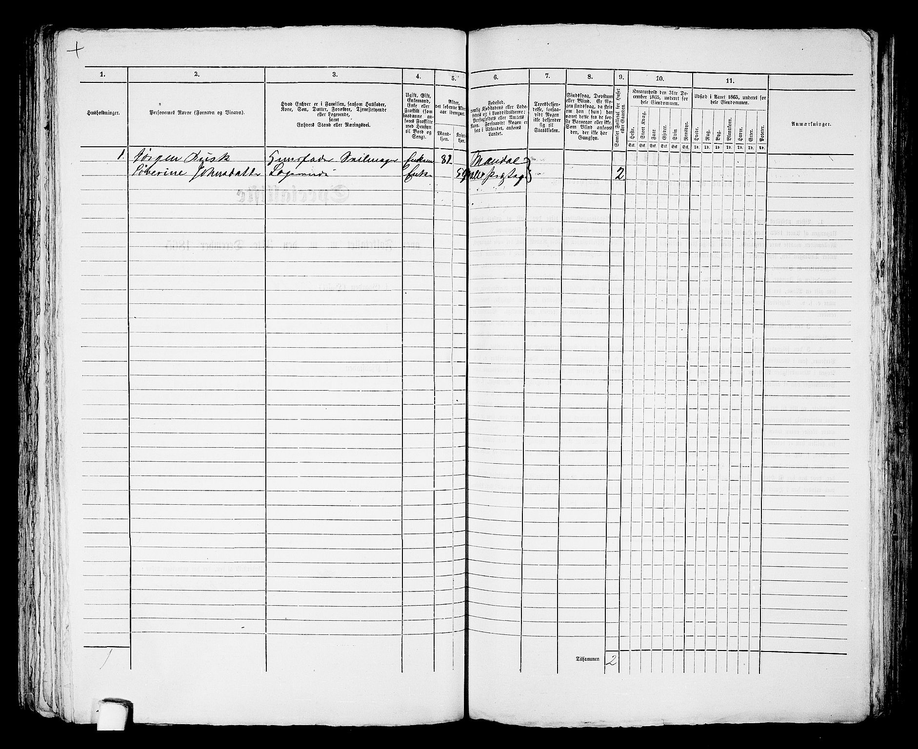 RA, 1865 census for Mandal/Mandal, 1865, p. 729