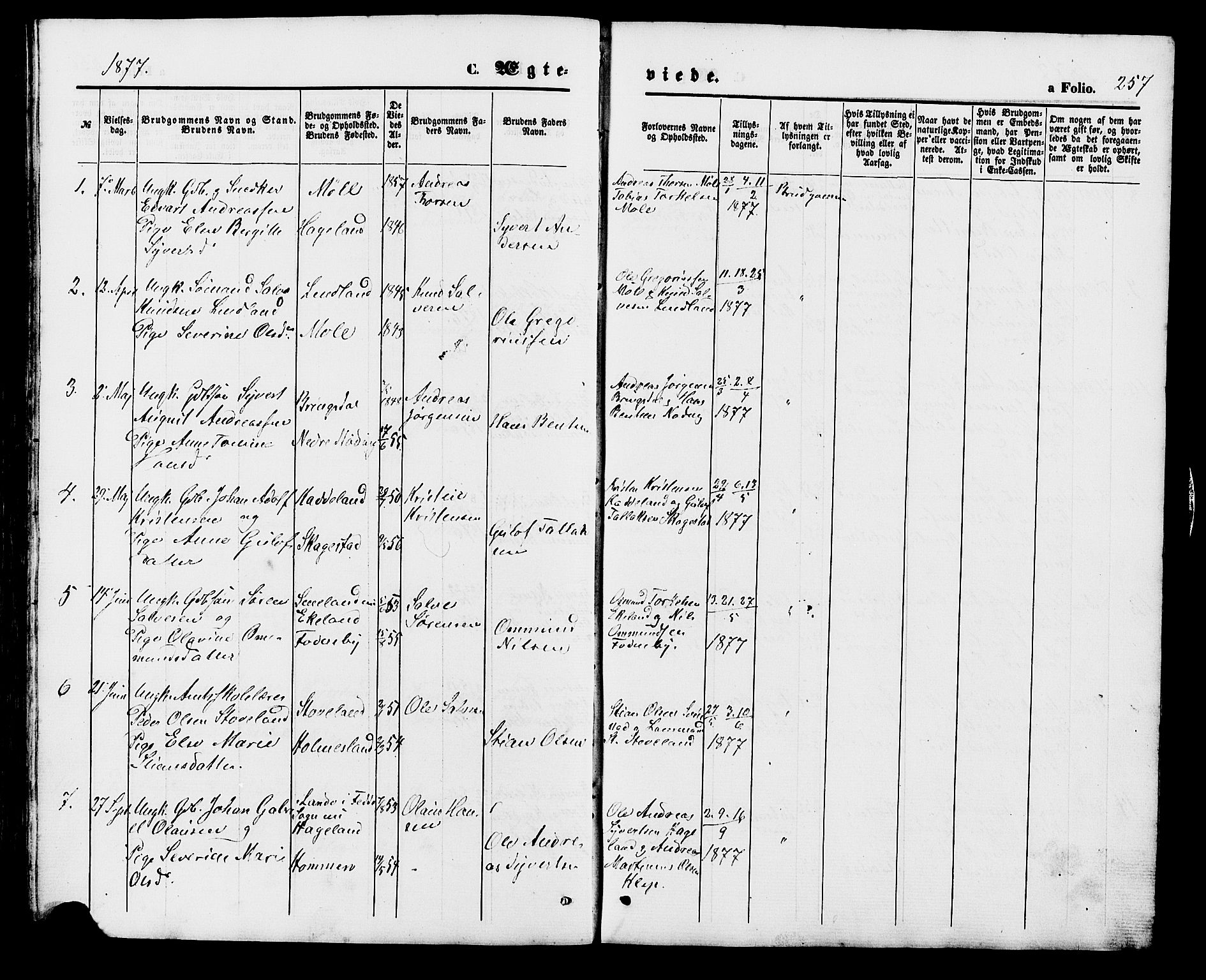 Holum sokneprestkontor, SAK/1111-0022/F/Fb/Fba/L0004: Parish register (copy) no. B 4, 1867-1890, p. 257