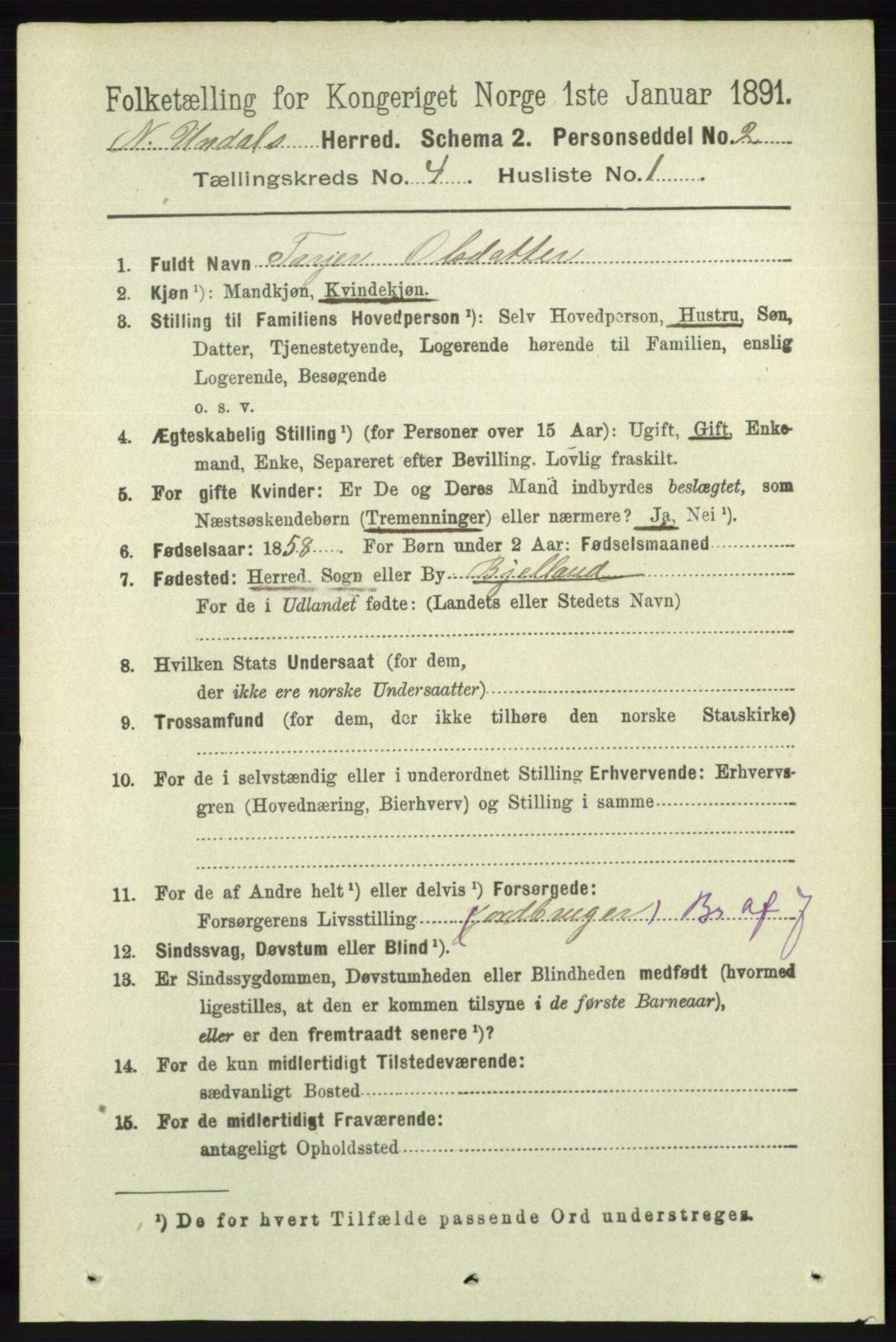 RA, 1891 census for 1028 Nord-Audnedal, 1891, p. 1096