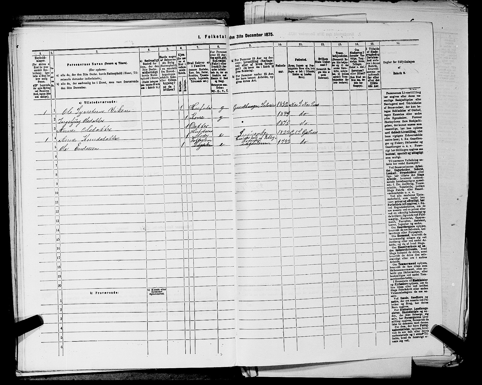 SAKO, 1875 census for 0616P Nes, 1875, p. 466