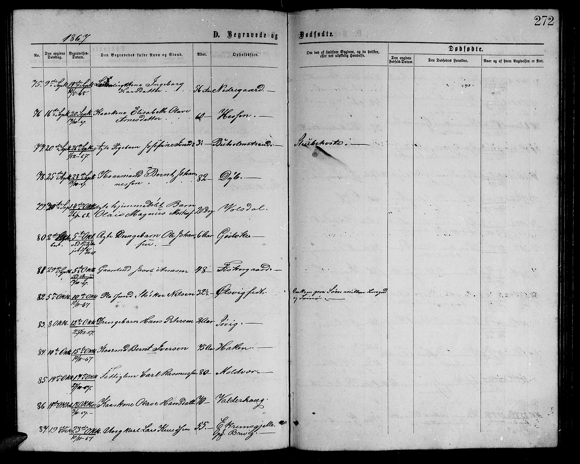 Ministerialprotokoller, klokkerbøker og fødselsregistre - Møre og Romsdal, AV/SAT-A-1454/528/L0428: Parish register (copy) no. 528C09, 1864-1880, p. 272